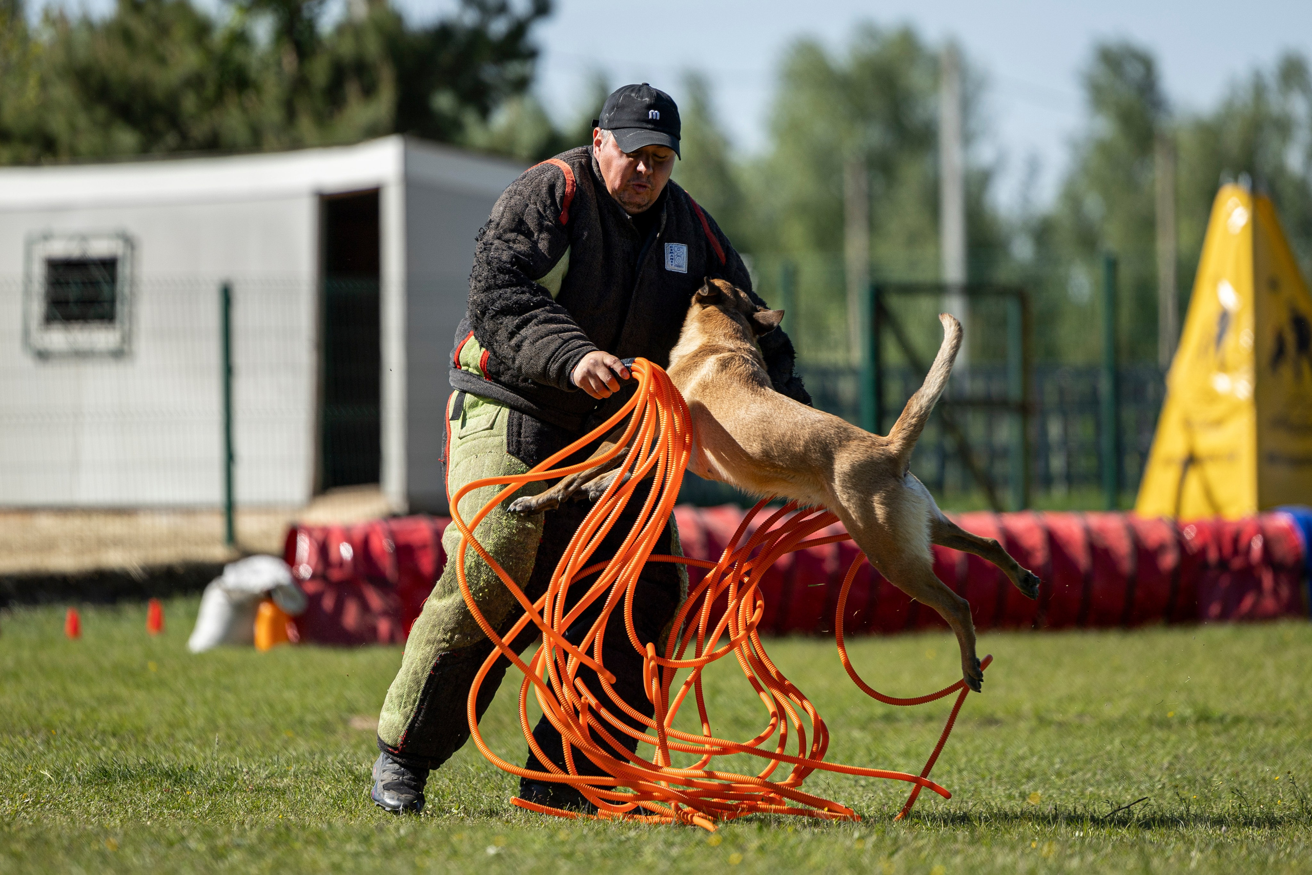 Испытания по мондьорингу в Нижнем Новгороде. Фотограф-анималист Анна Маринич