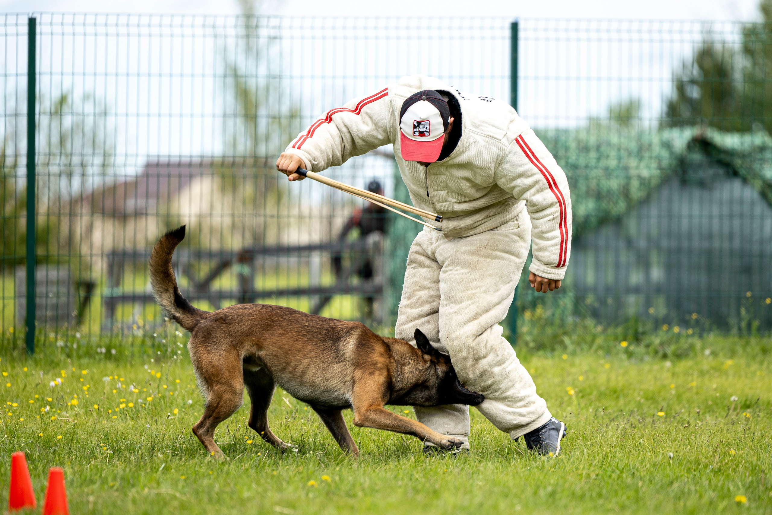 Испытания по мондьорингу в Нижнем Новгороде. Фотограф-анималист Анна Маринич