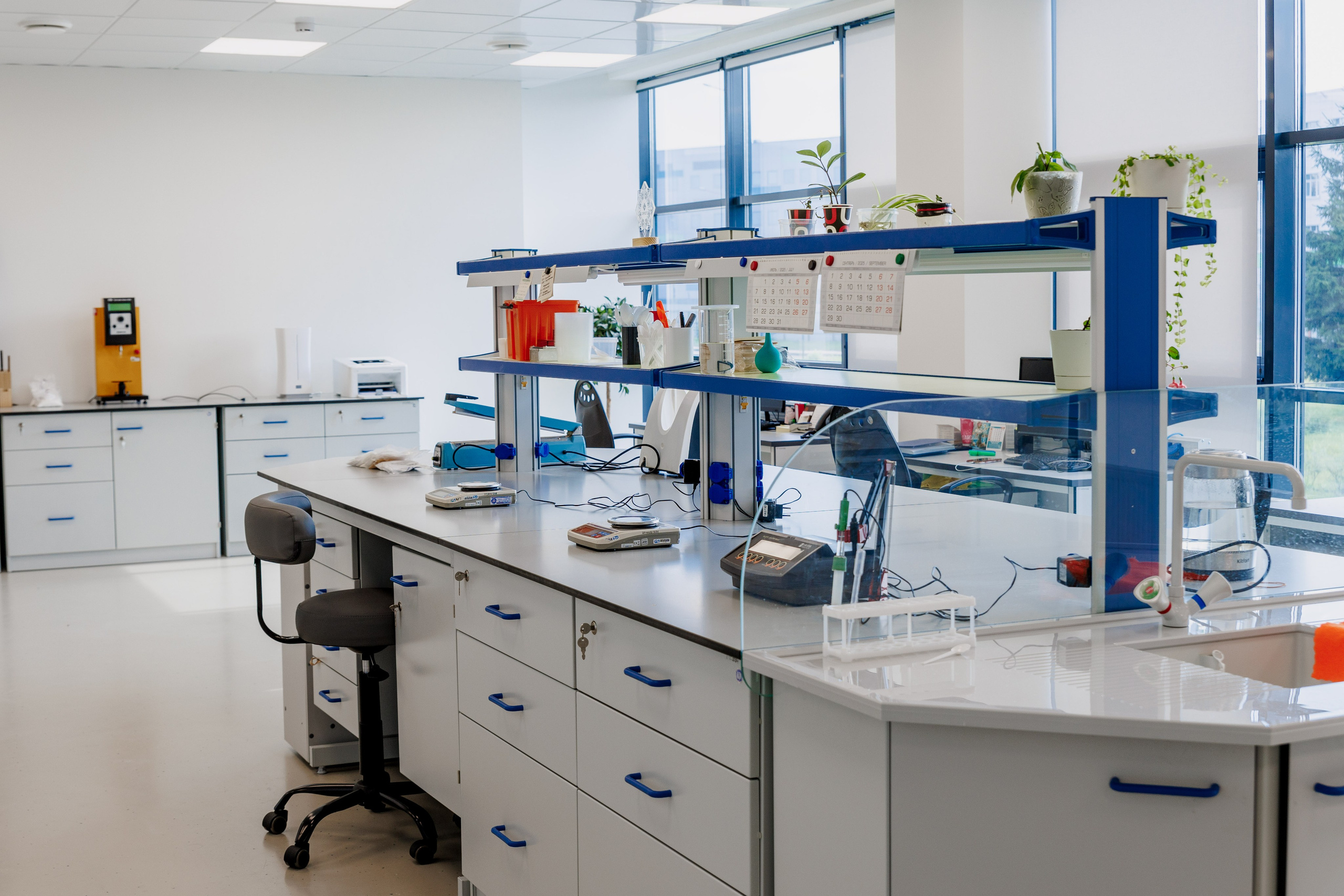 Лабораторный этап: разработка и тестирование рецептур, контроль качества сырья и готовой продукции