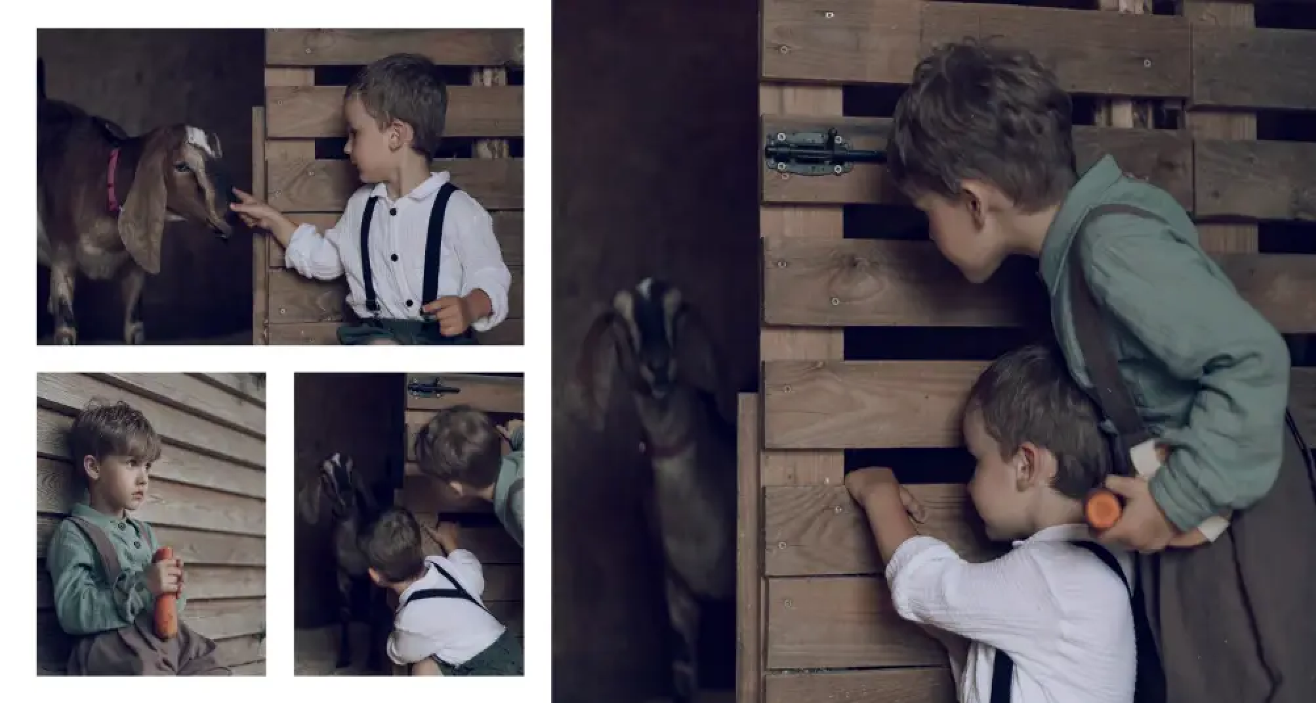 Верстка. Фотограф в Минске Алёна Дианина