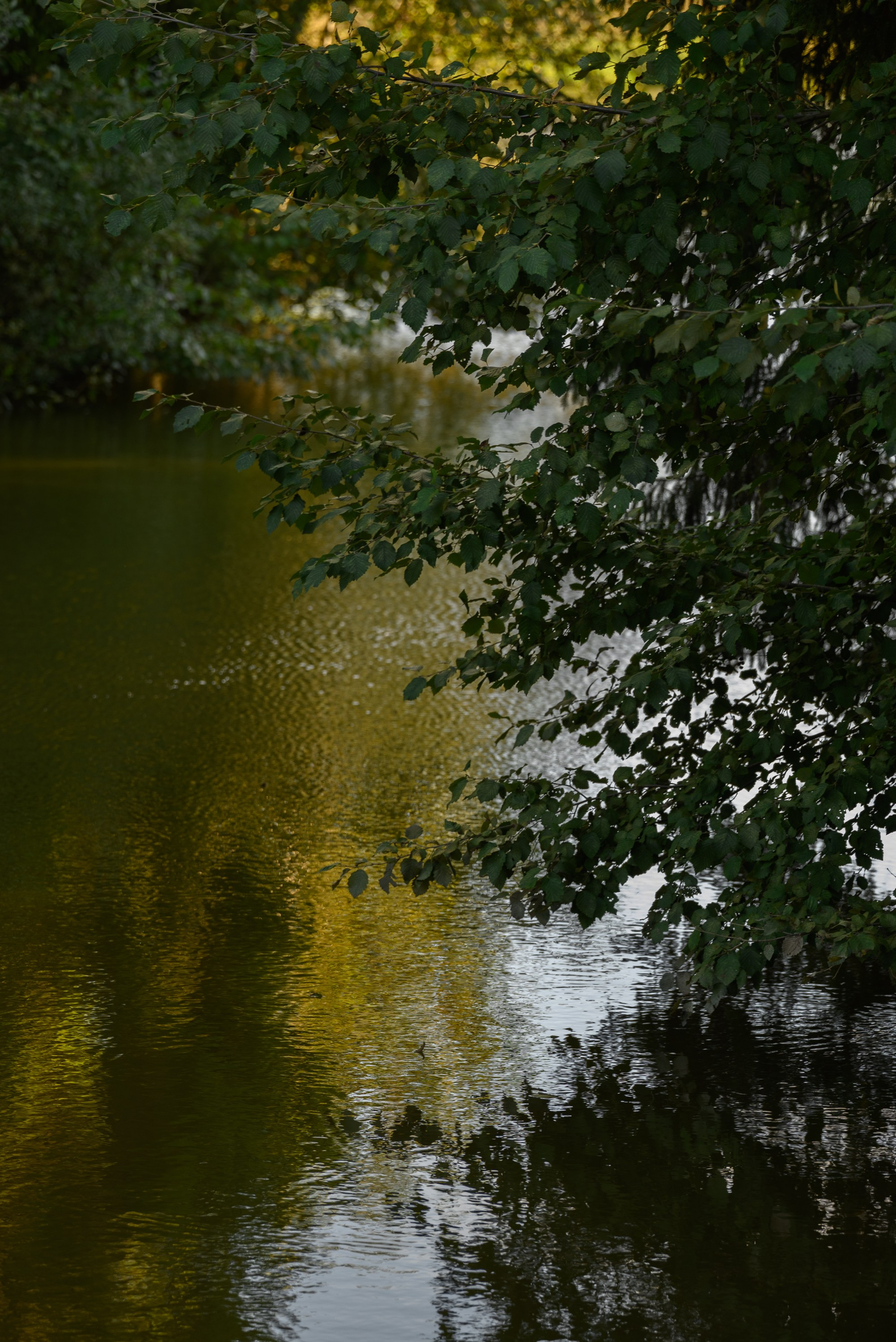 Это любовь. Свадебный фотограф Ижевск Петр Шишков