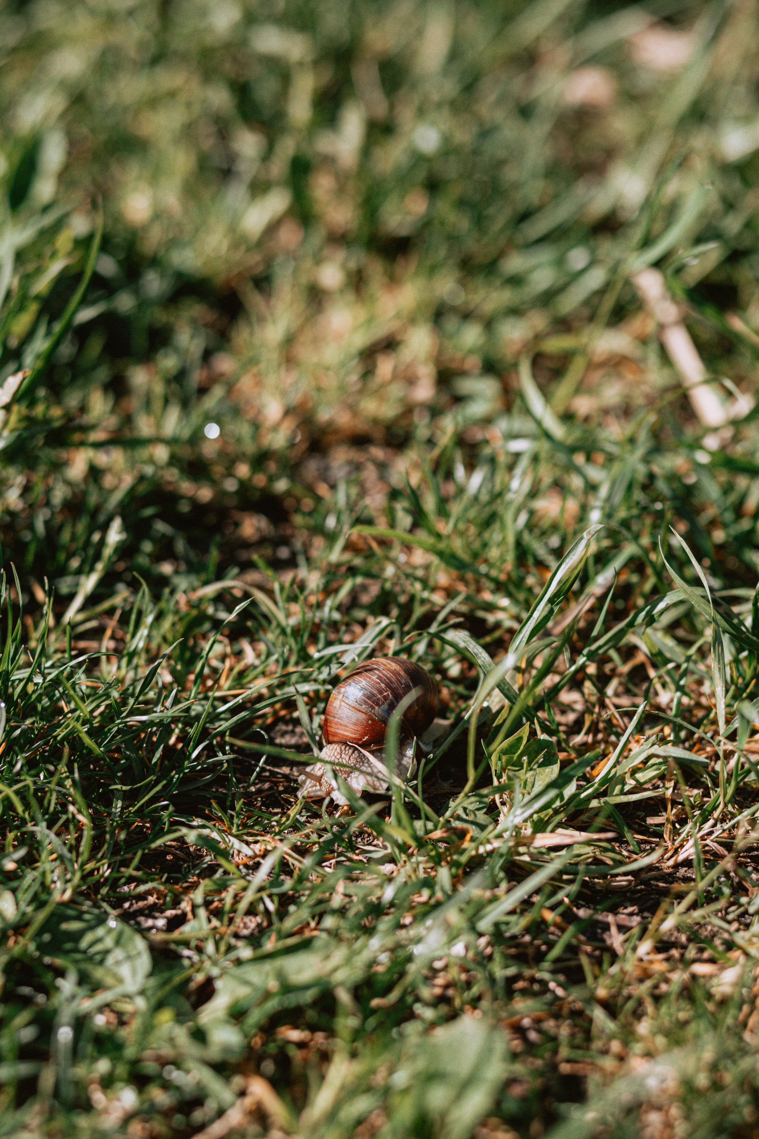 Контент для туристического бизнеса. Фотограф АняКа Мытищи