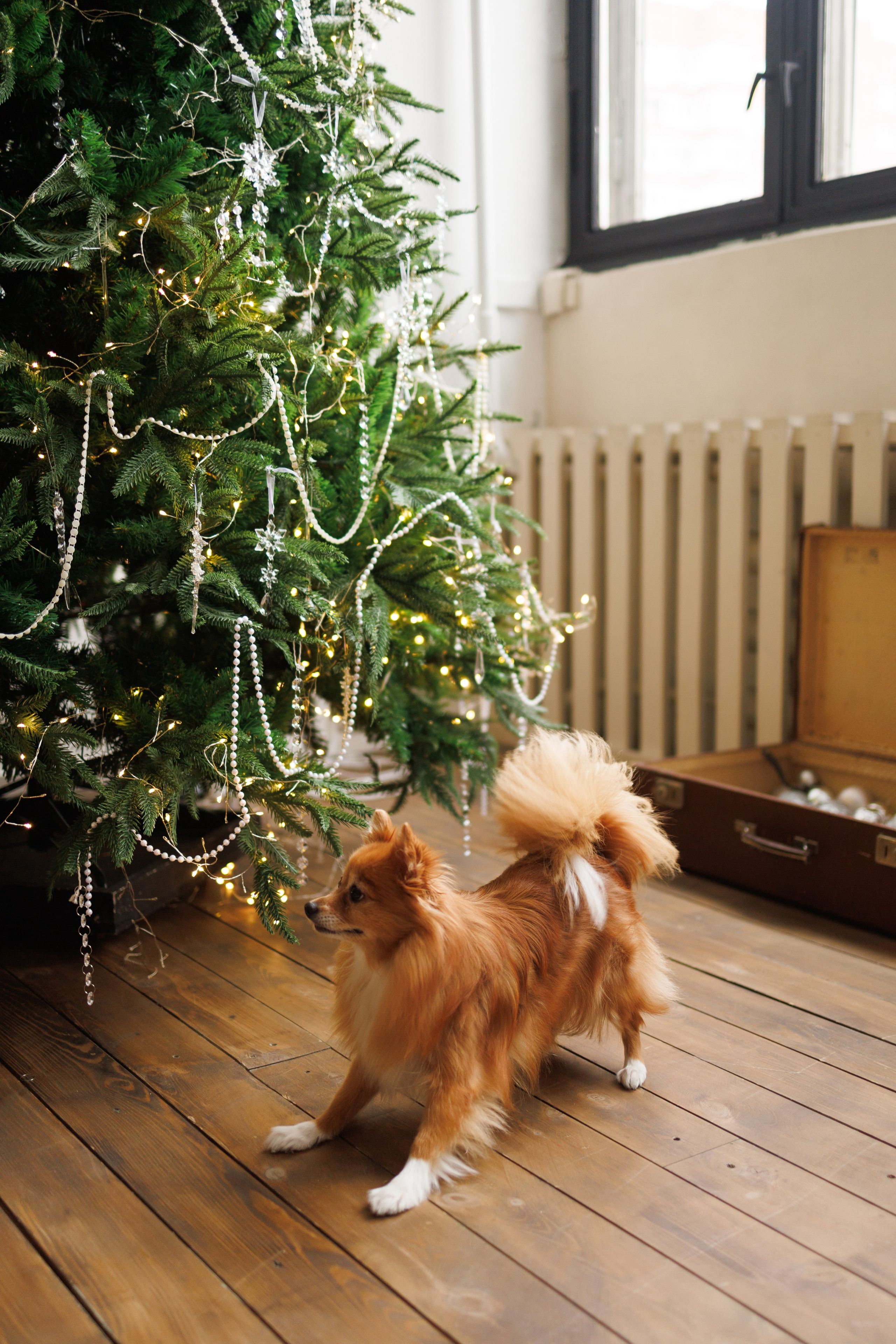 Семейные. Фотограф Екатеринбург Анастасия Лиханова