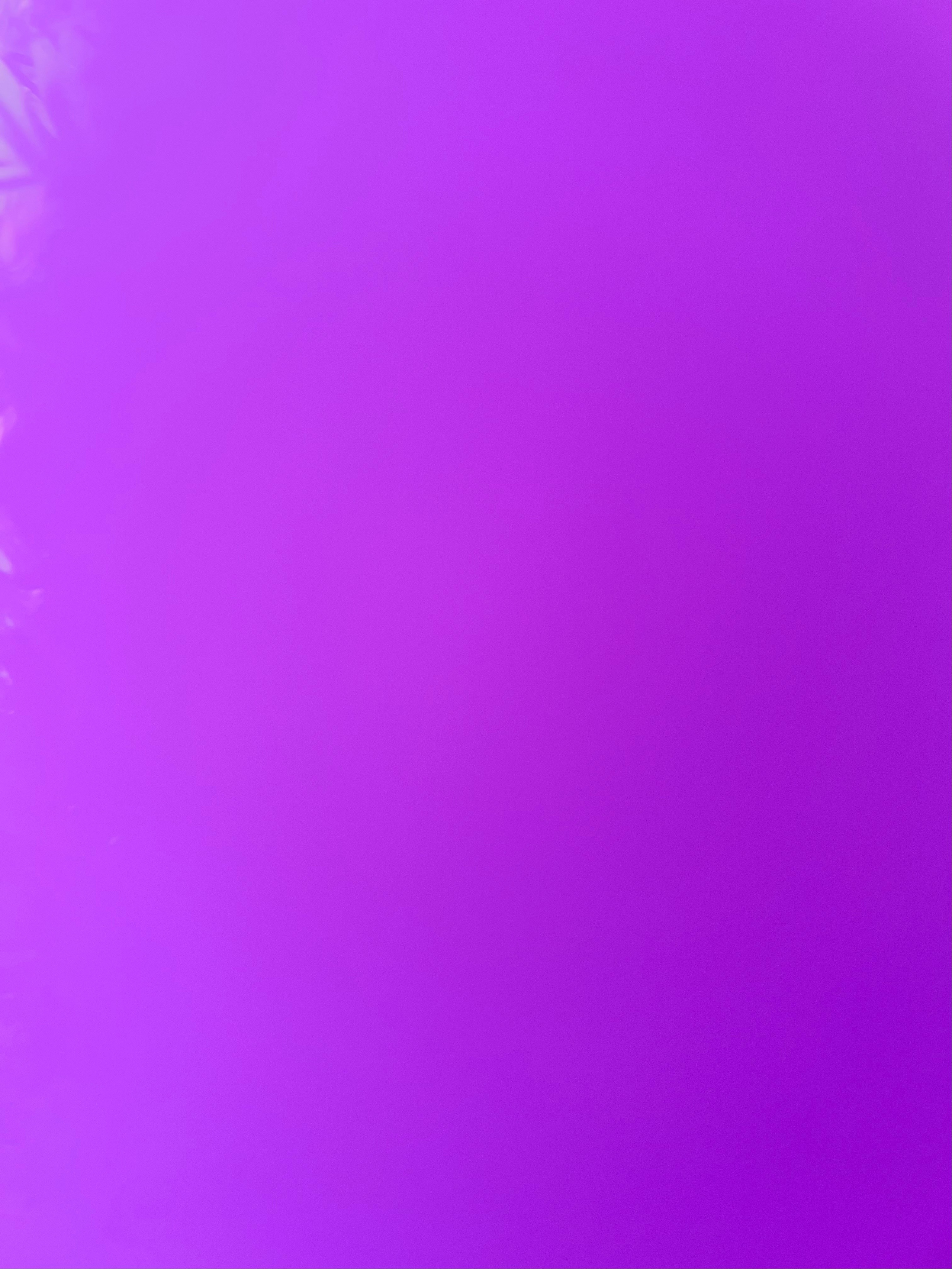 Viola Soprano