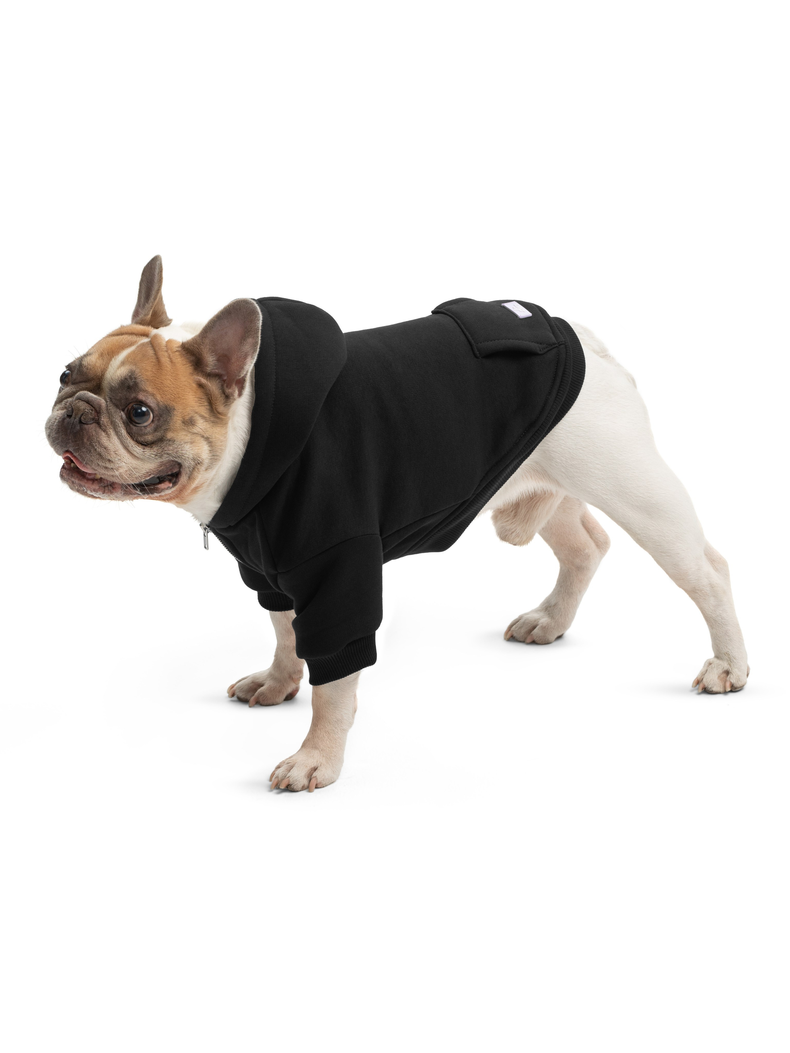 Одежда для собак Pet Subject. Олег Дмитриев