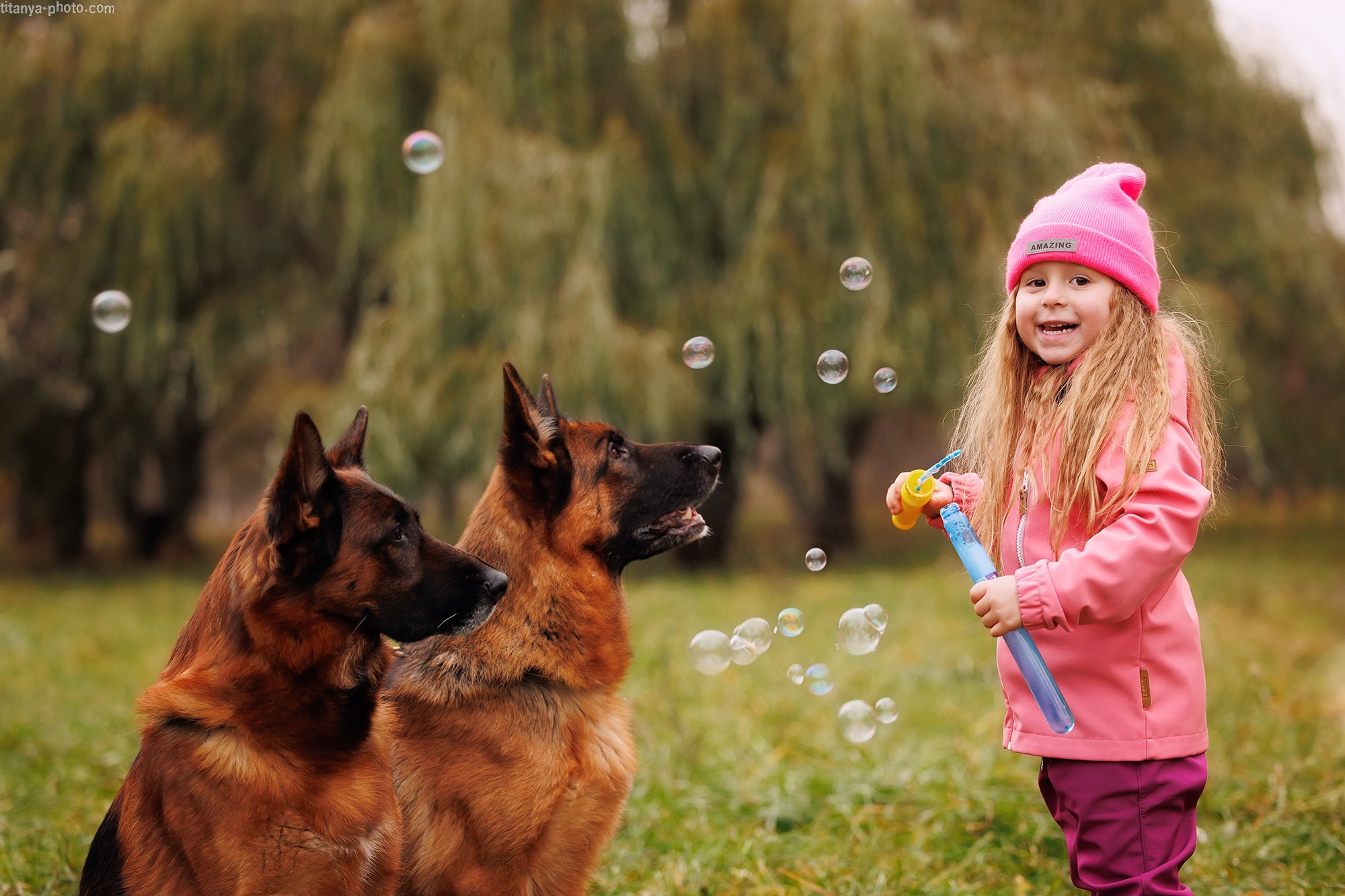 Вика, Даша и их четвероногие друзья: Де Орсе Мак Флай Онли Ю, Устина и Барселона. Фотограф собак, фотограф-анималист Аня Титова (Titanya). Москва