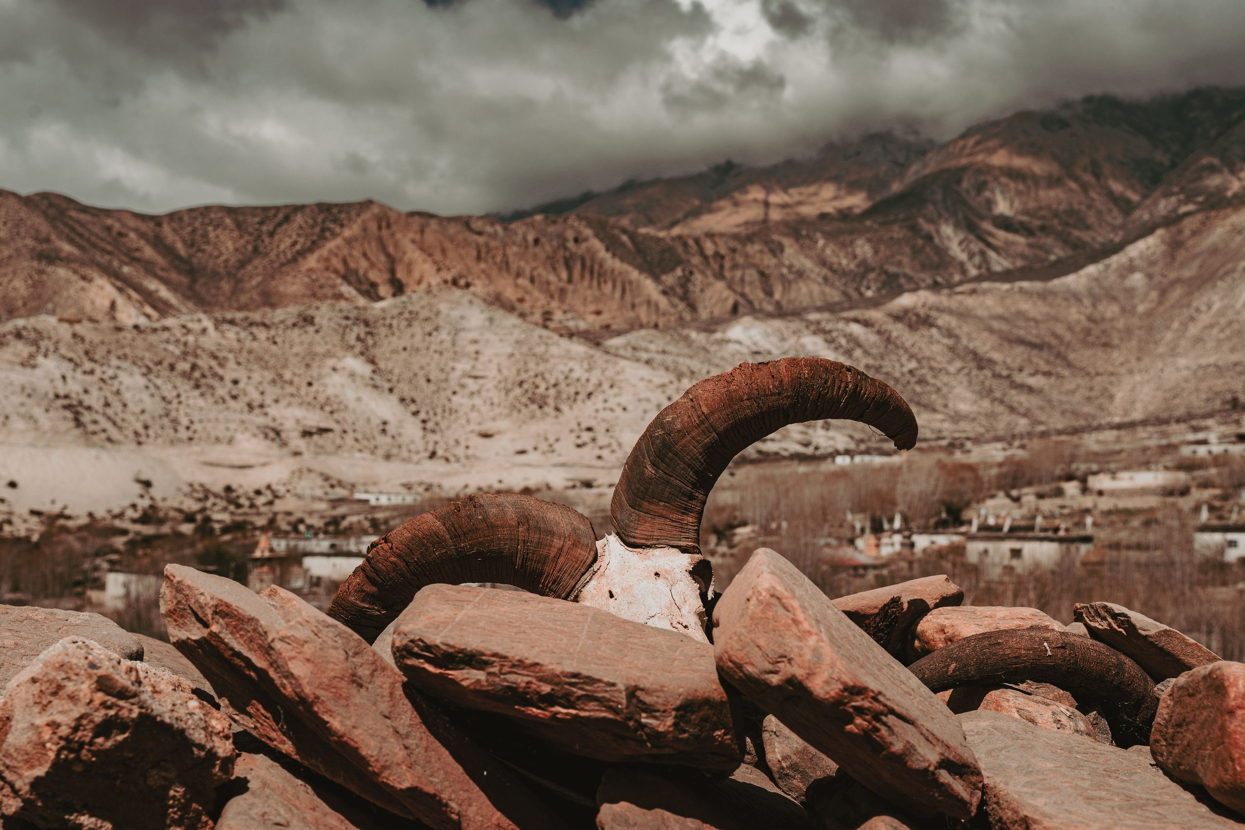 Королевство Мустанг. Dmitry Ippolitov