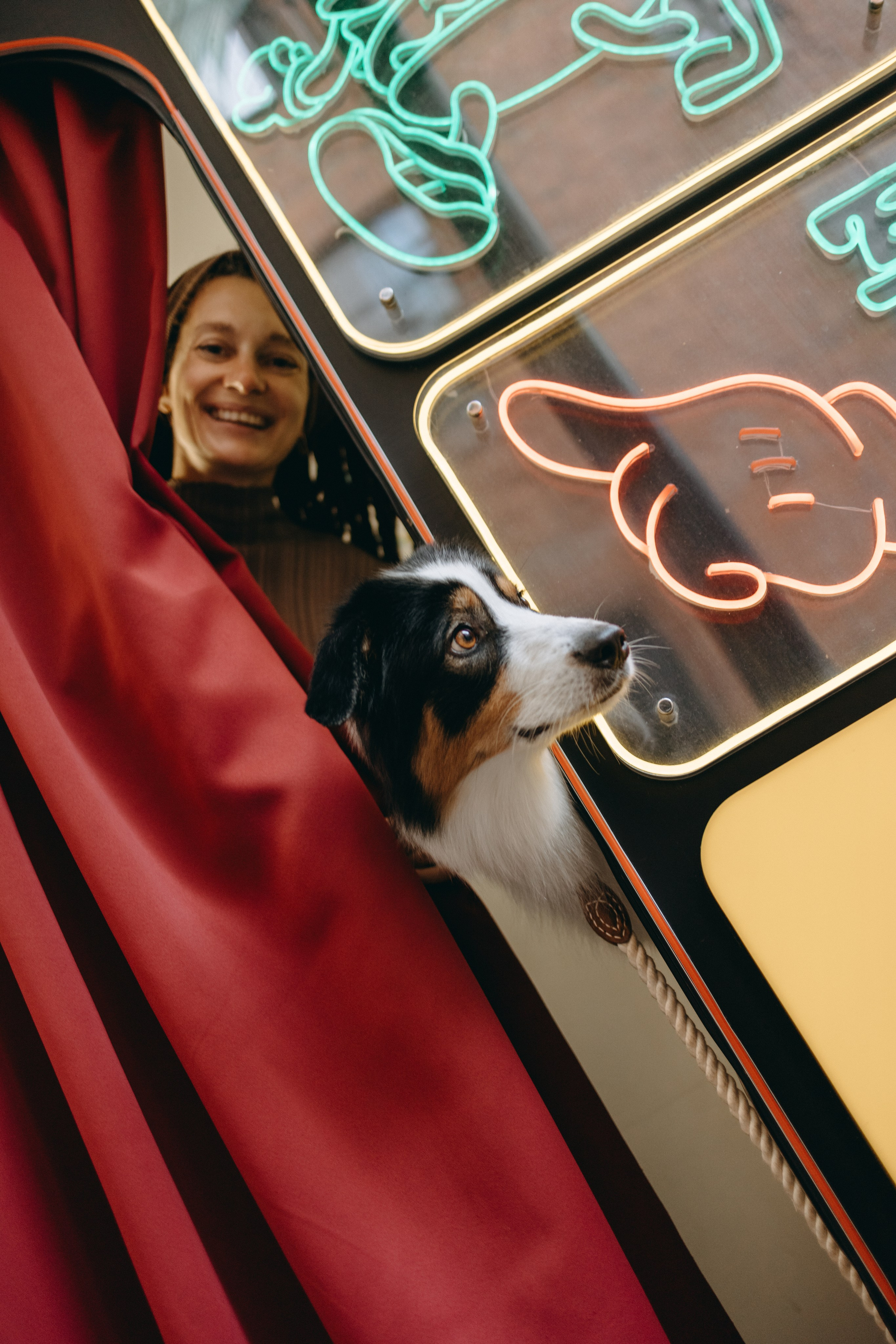 Катя и ее девочки. Фотограф — Анималист | Санкт-Петербург