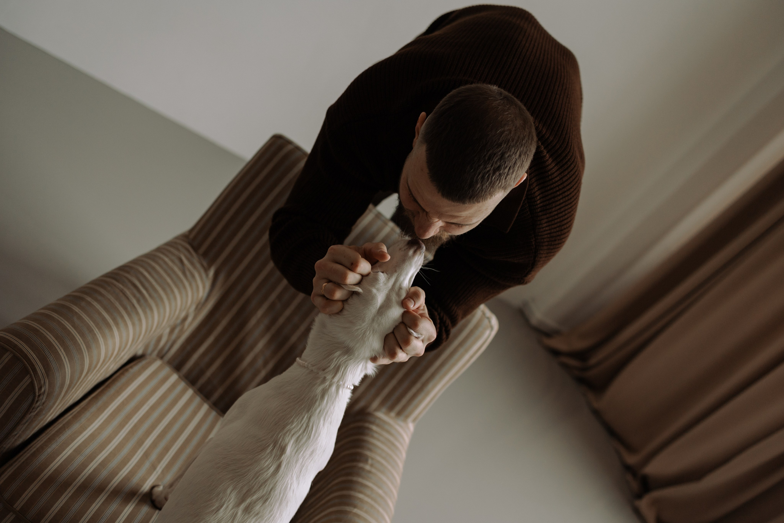 Луна и ее семья. Фотограф — Анималист | Санкт-Петербург