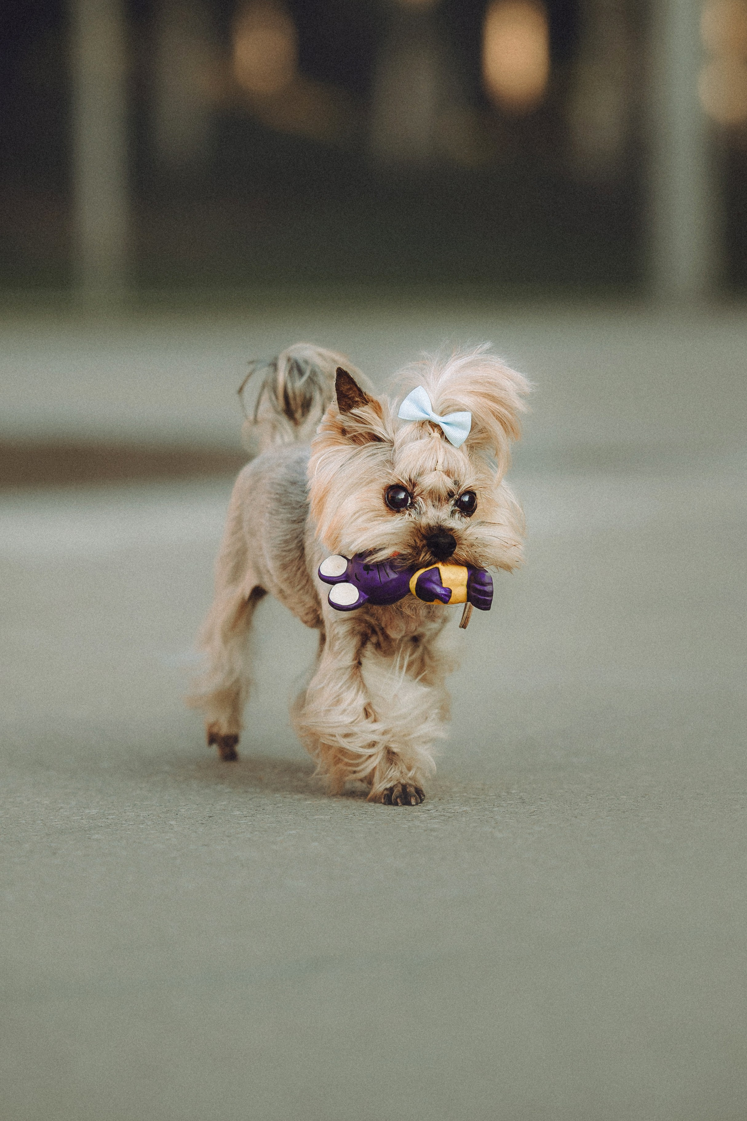 Дженни, Оливия и их семья