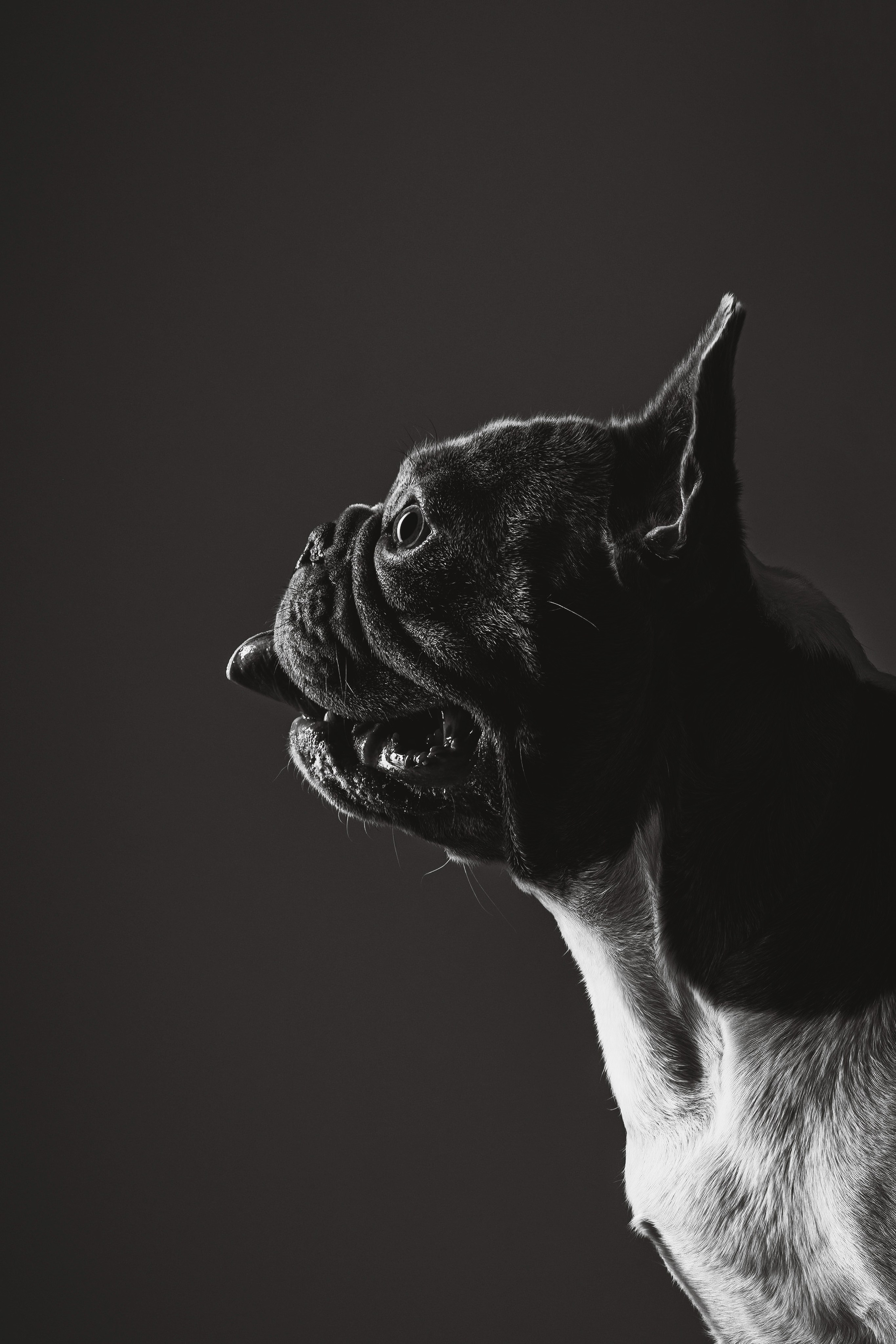 Екатерина, Виталий и Ричи