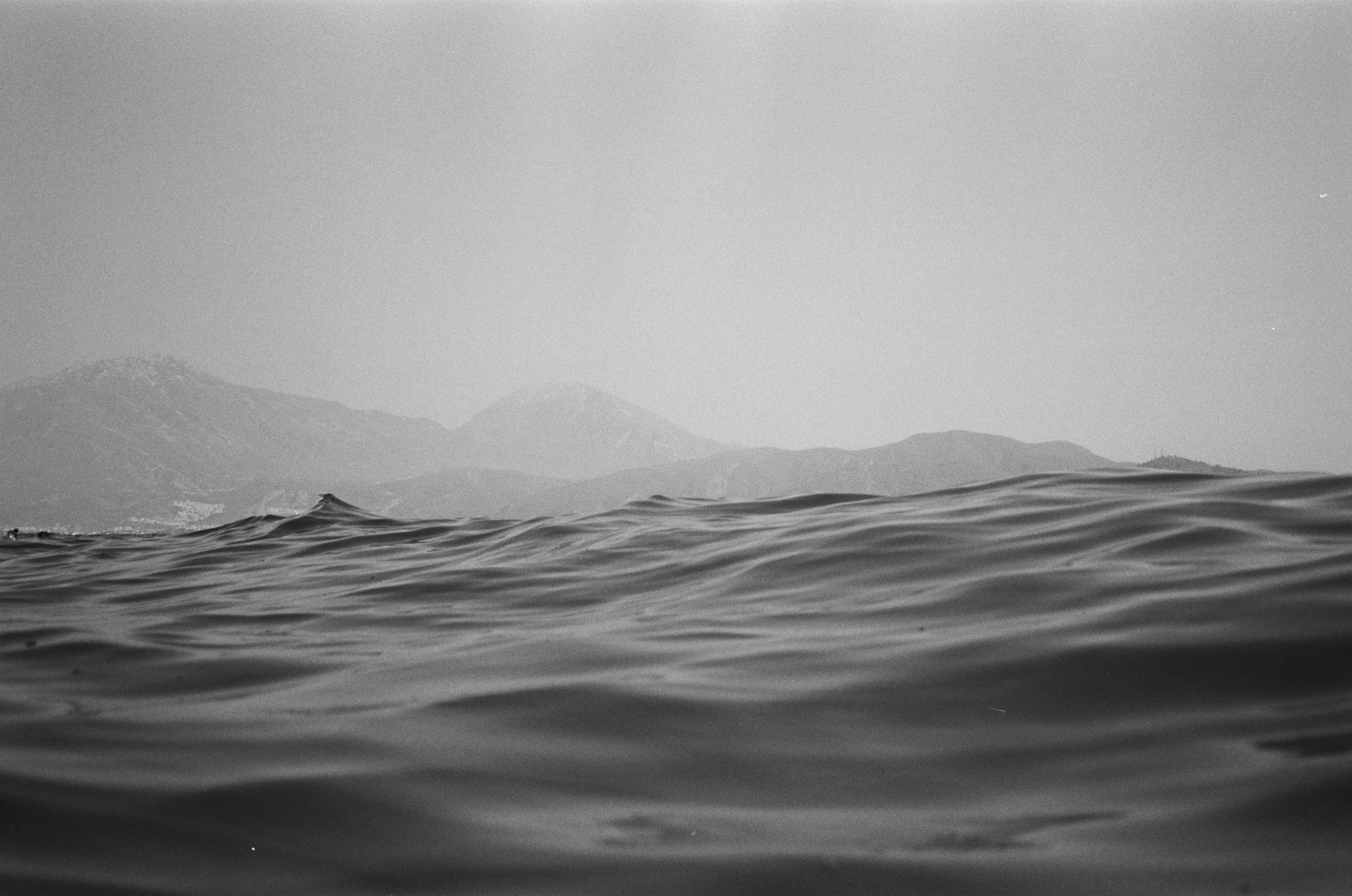 Philip. Maria Abdullaeva