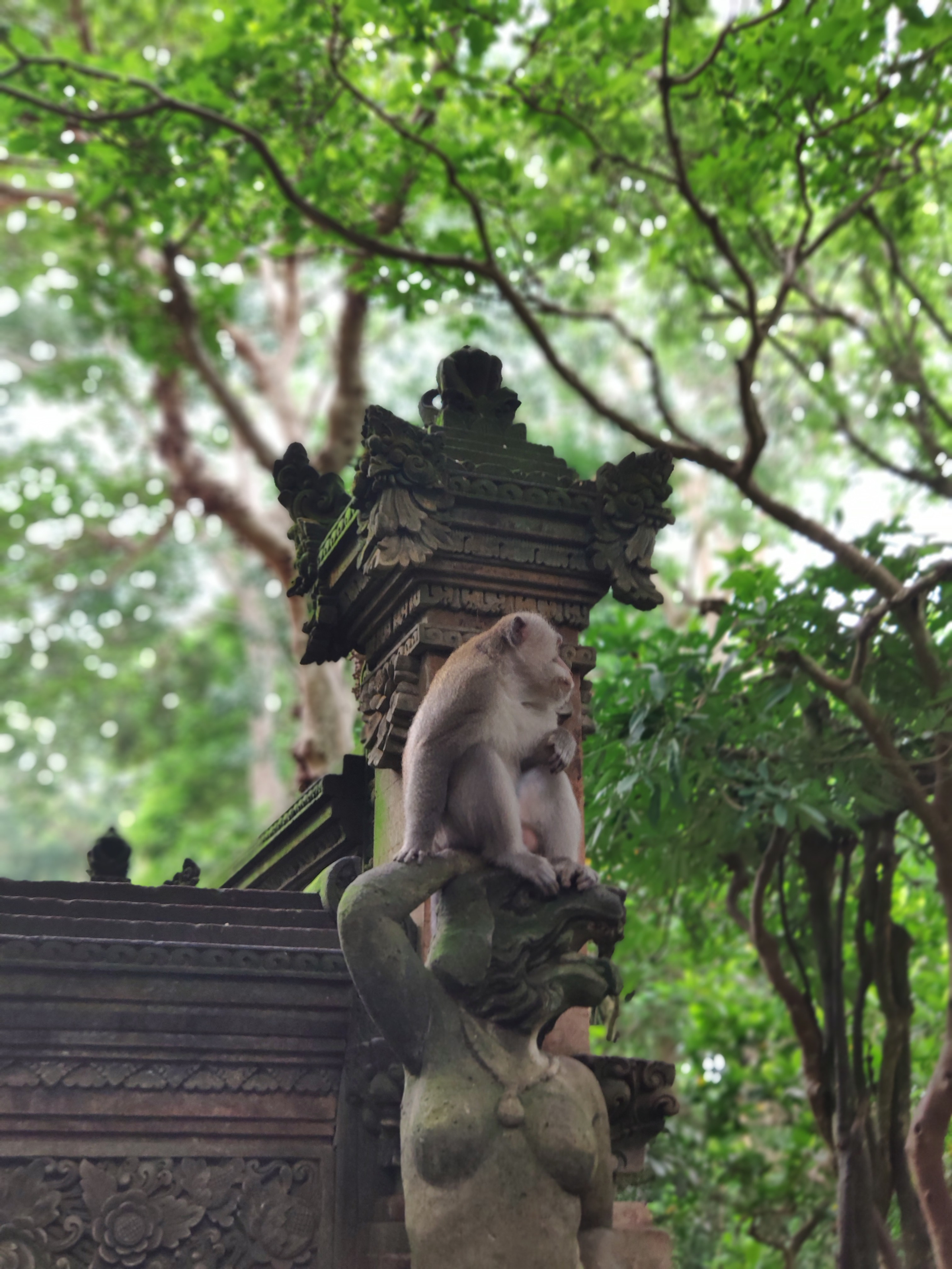 Indonesia (Bali Island). Фотограф Алексей Федорищев