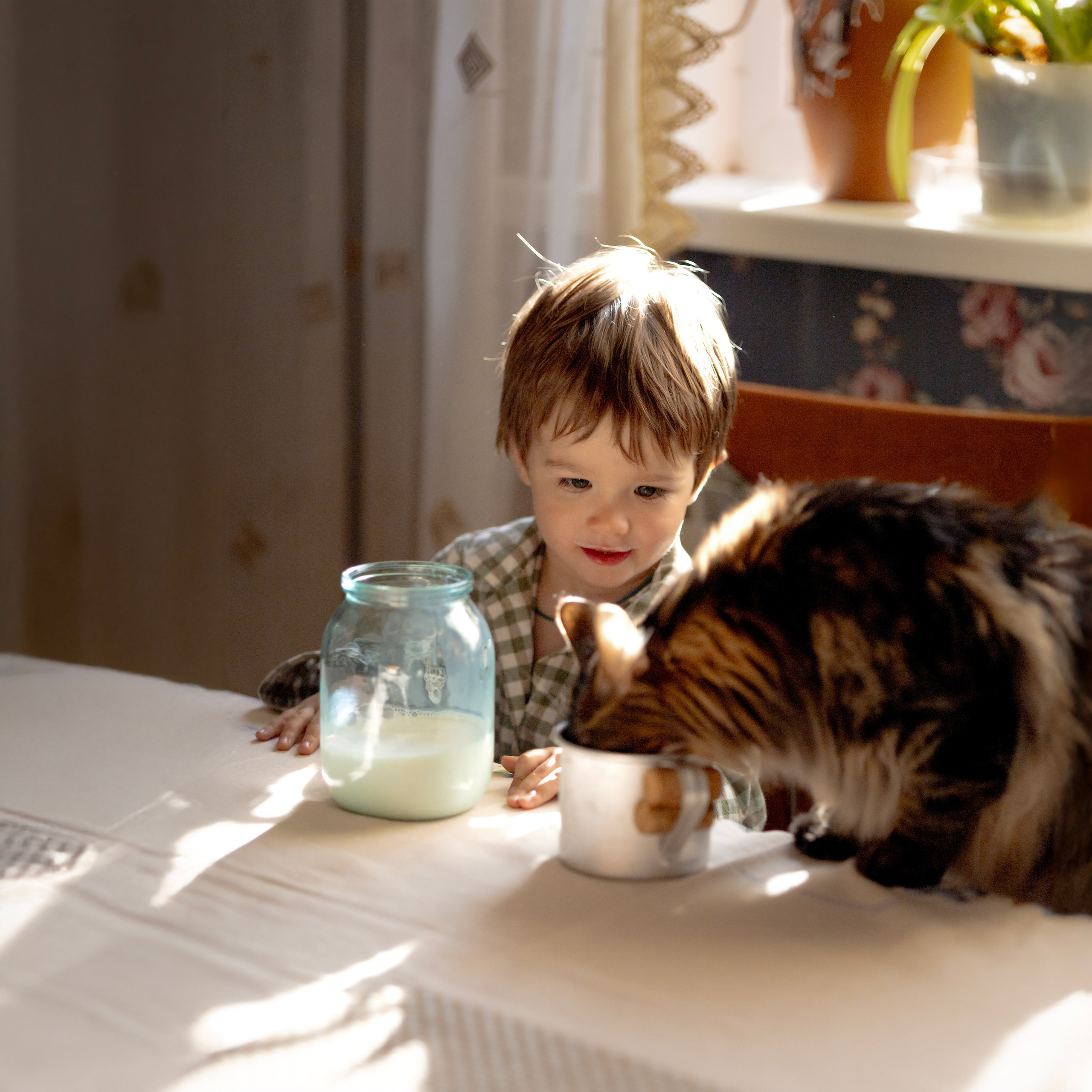 Галерея работ. Семейный и детский фотограф Рядчикова Екатерина Москва