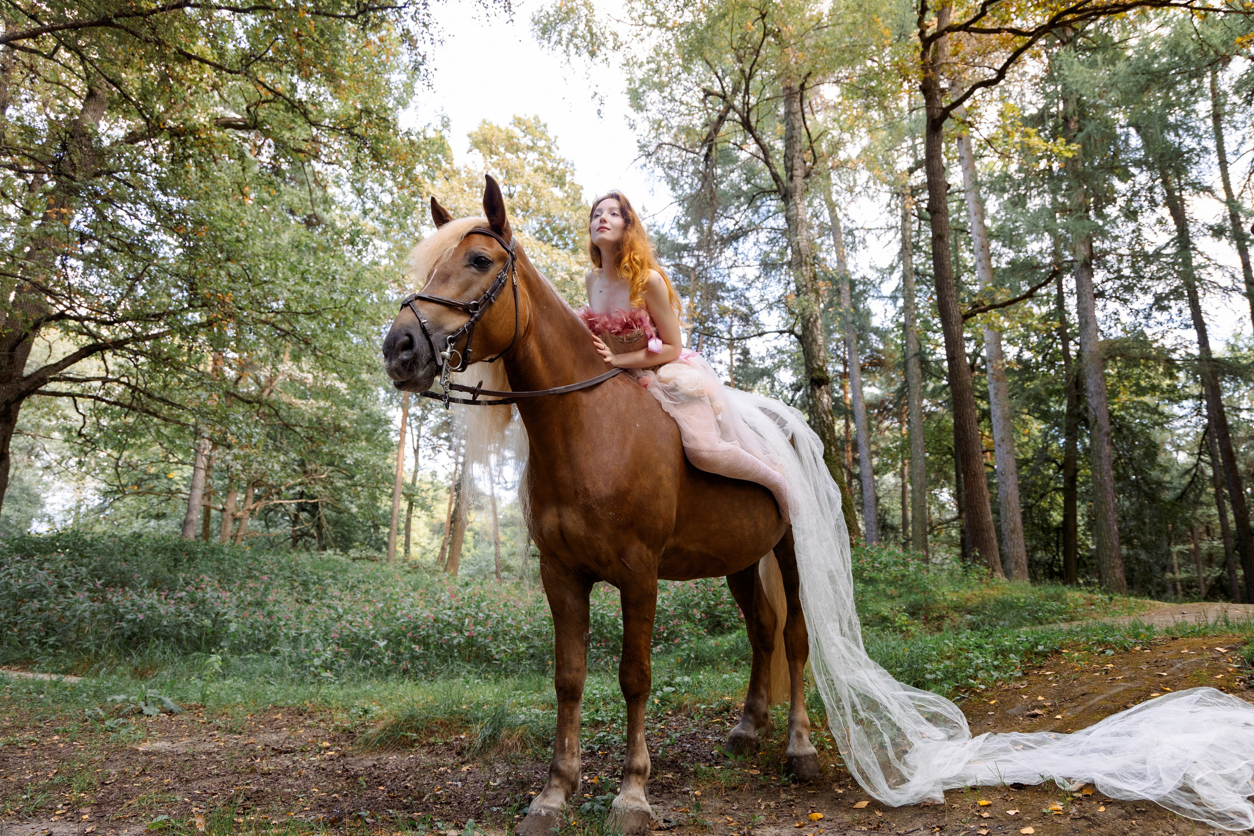 Портфолио. Фотограф в Москве Ковальчук Елена