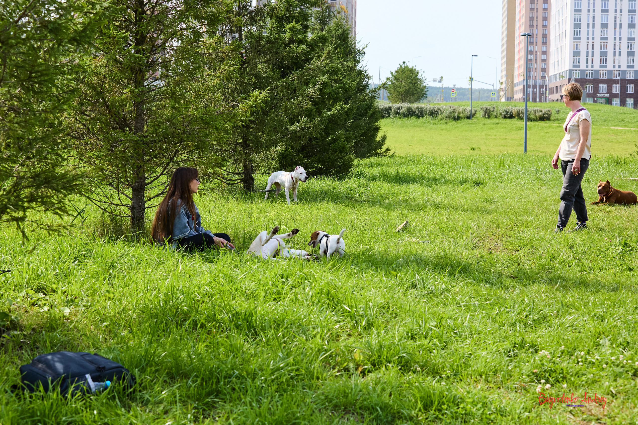 Проект фотопрогулка с хвостиком. Buyvolenko Andrey