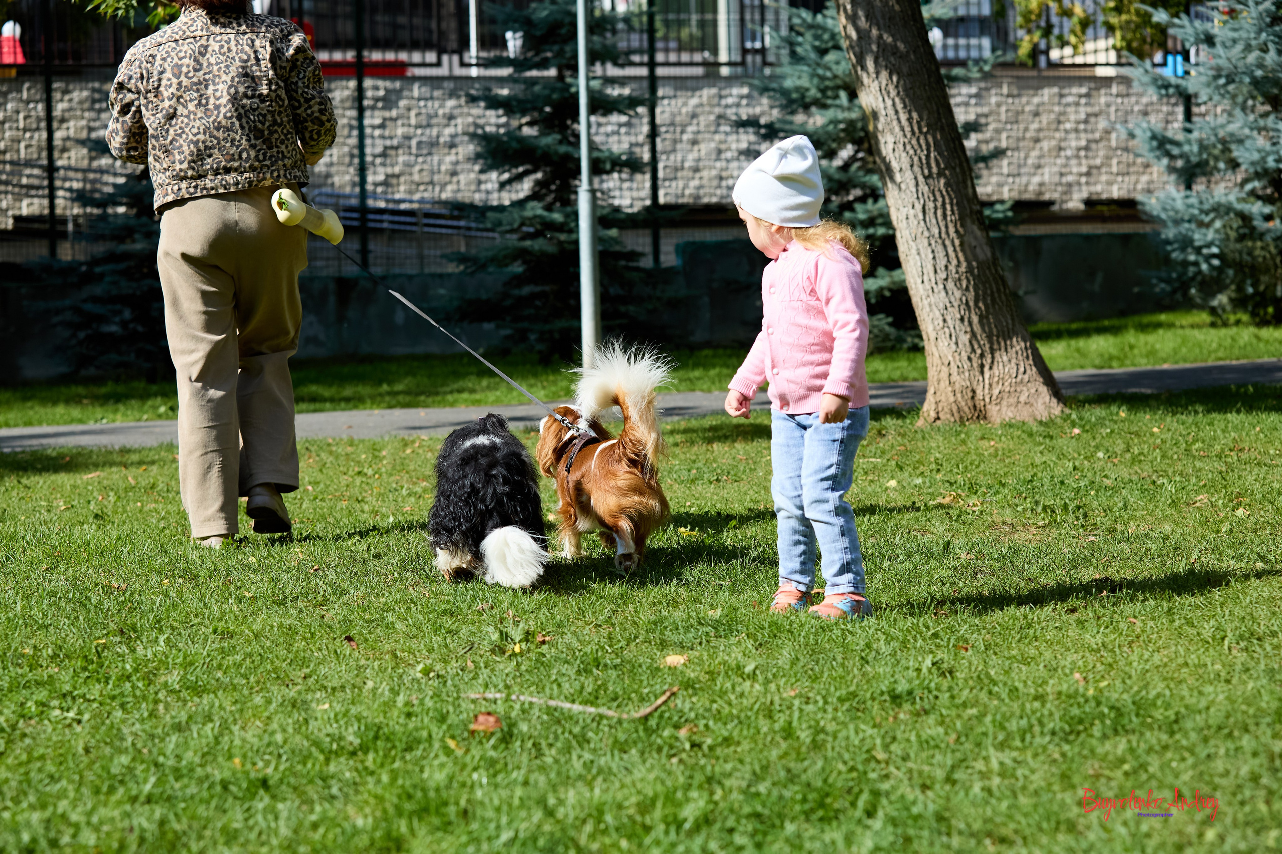 Фотопрогулка с кавалерами. Buyvolenko Andrey