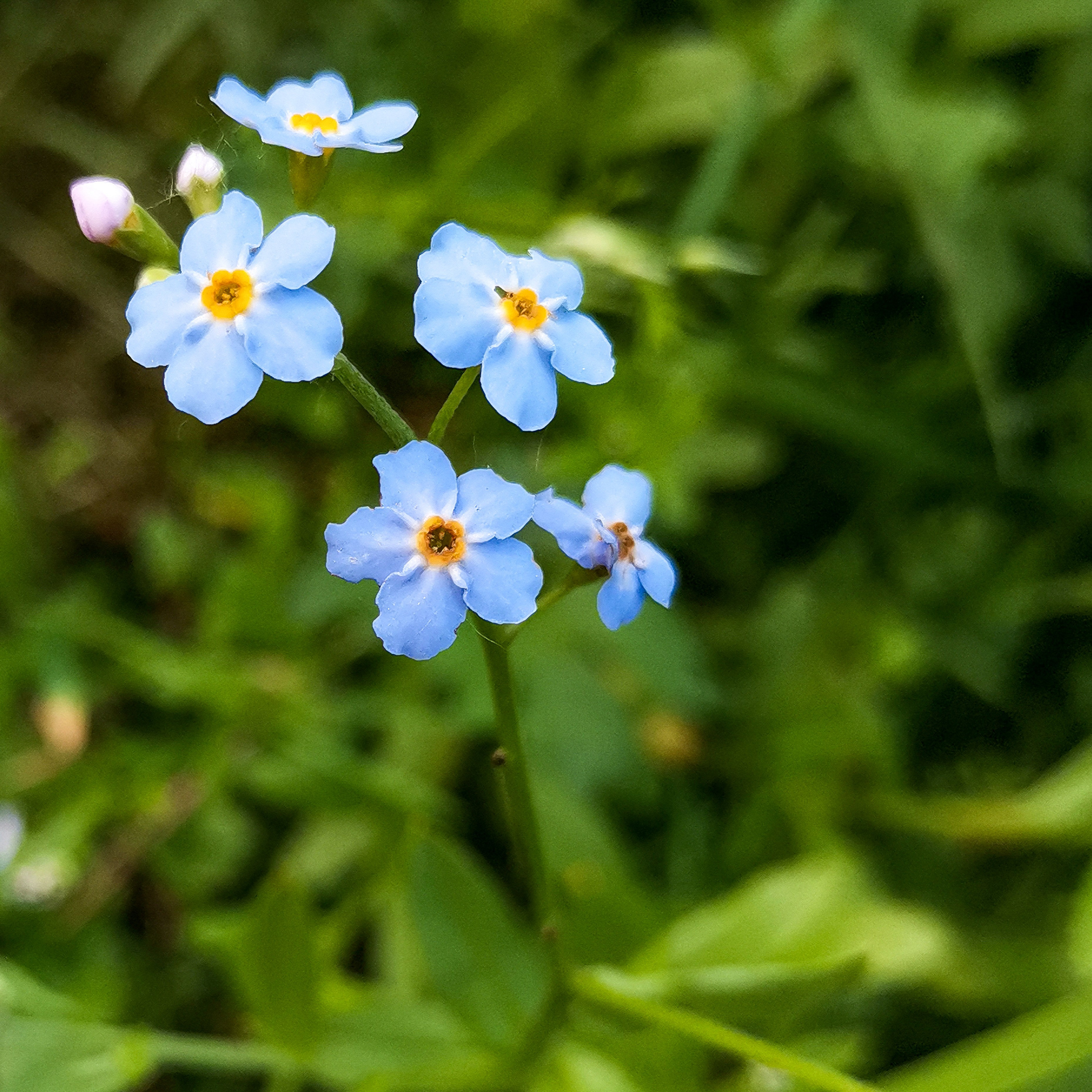 Академия фотографии. Фото/Ретушь/Обучение