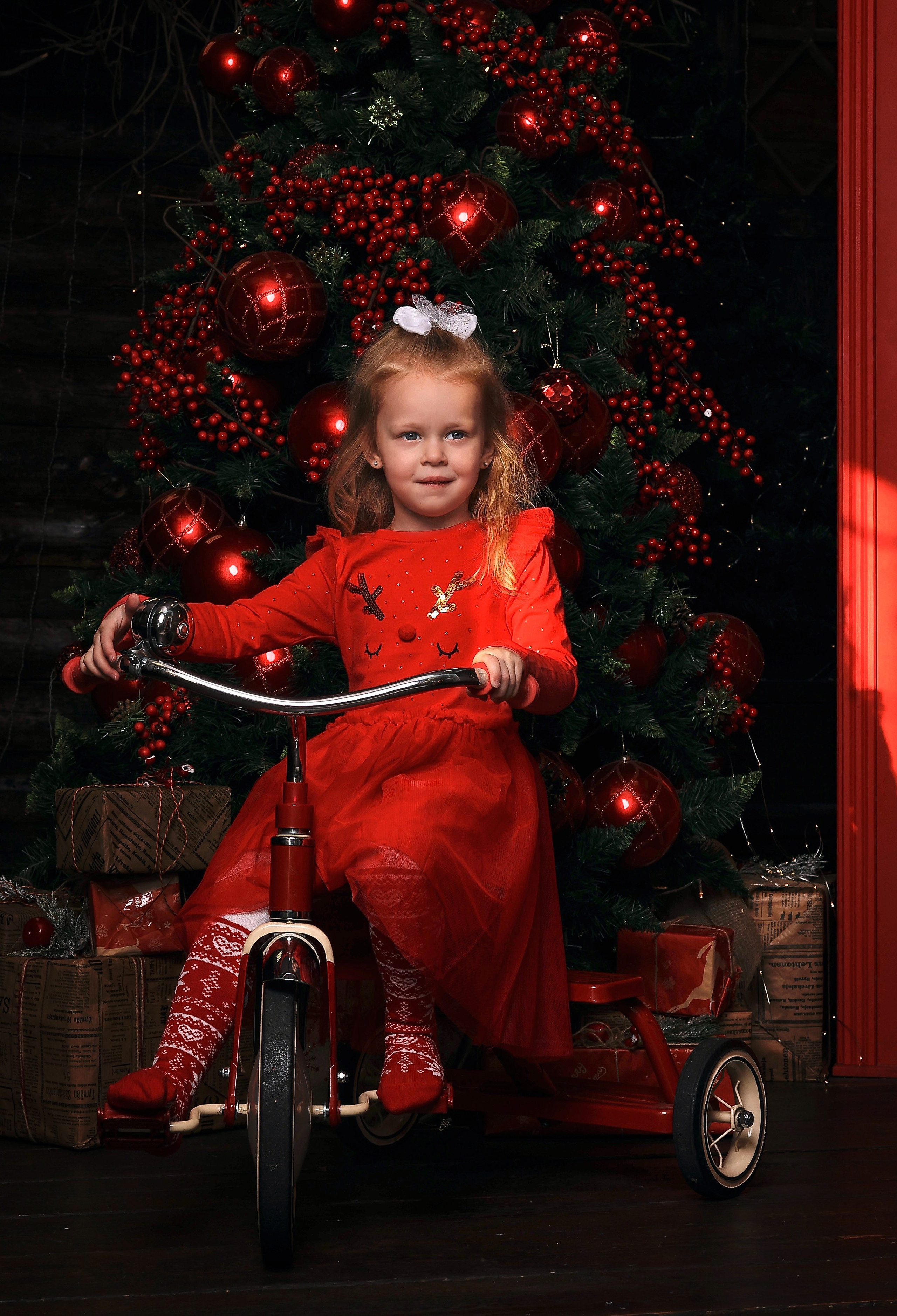 НОВЫЙ ГОД. Профессиональный фотограф в Москве  Елена Фатьянова