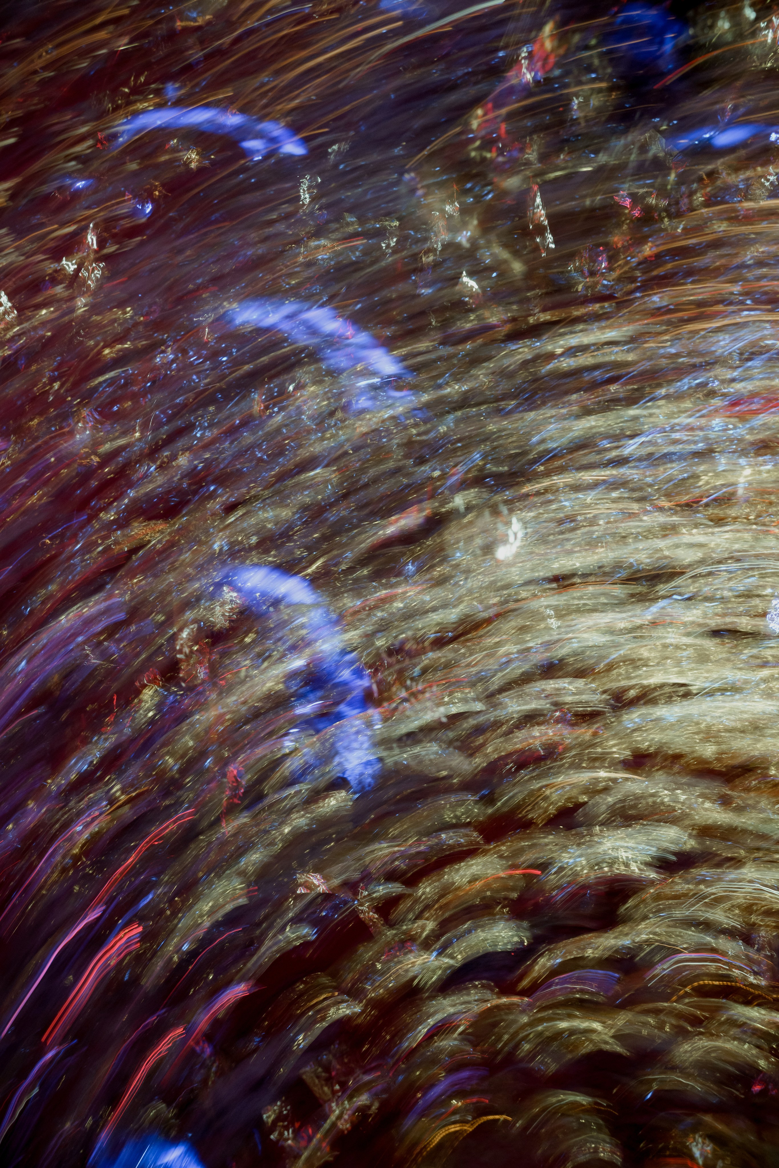 Елизавета & Артем. Свадебный фотограф организатор в Санкт-Петербурге Ассоль Опарина