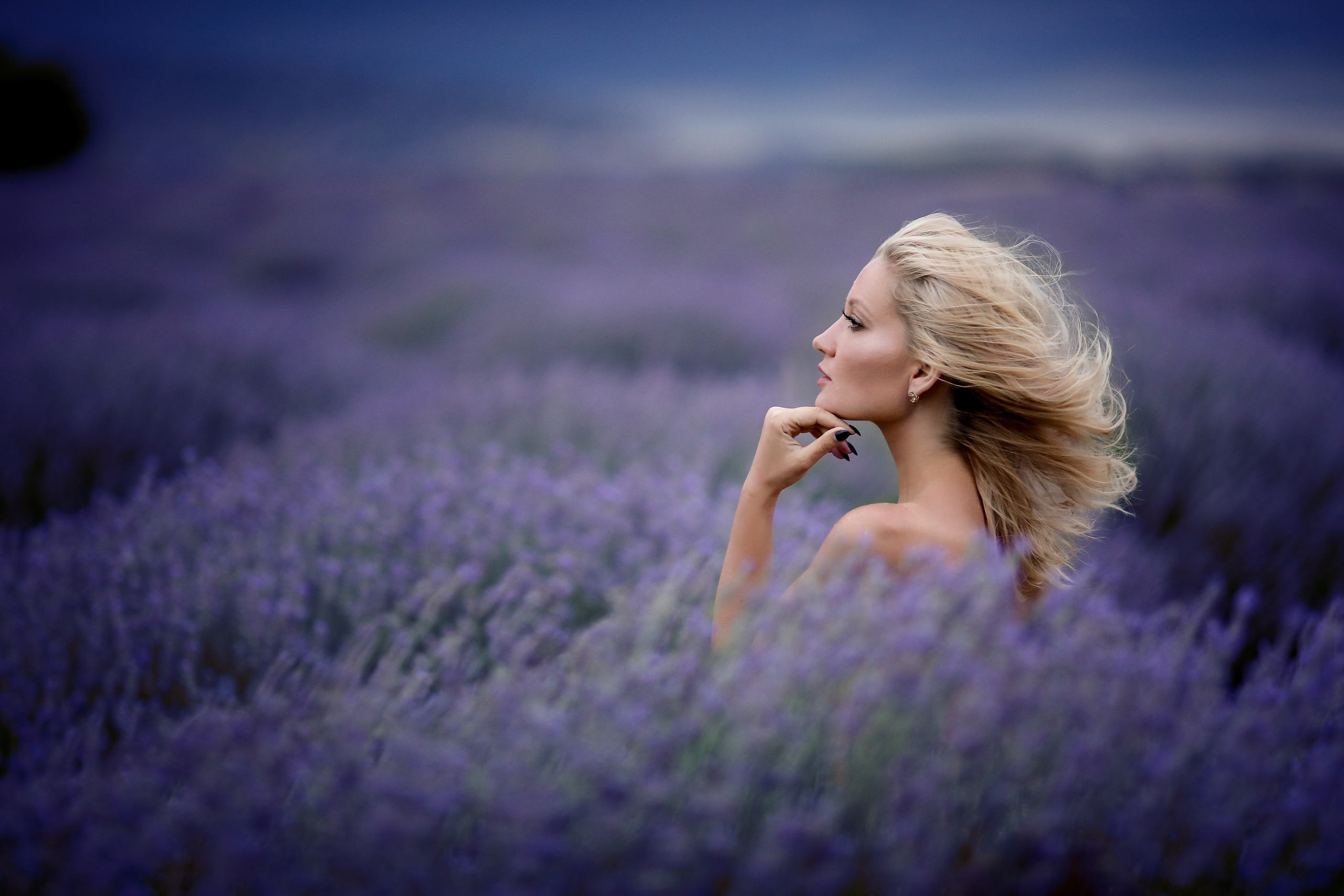 Lavender fields in Turkey