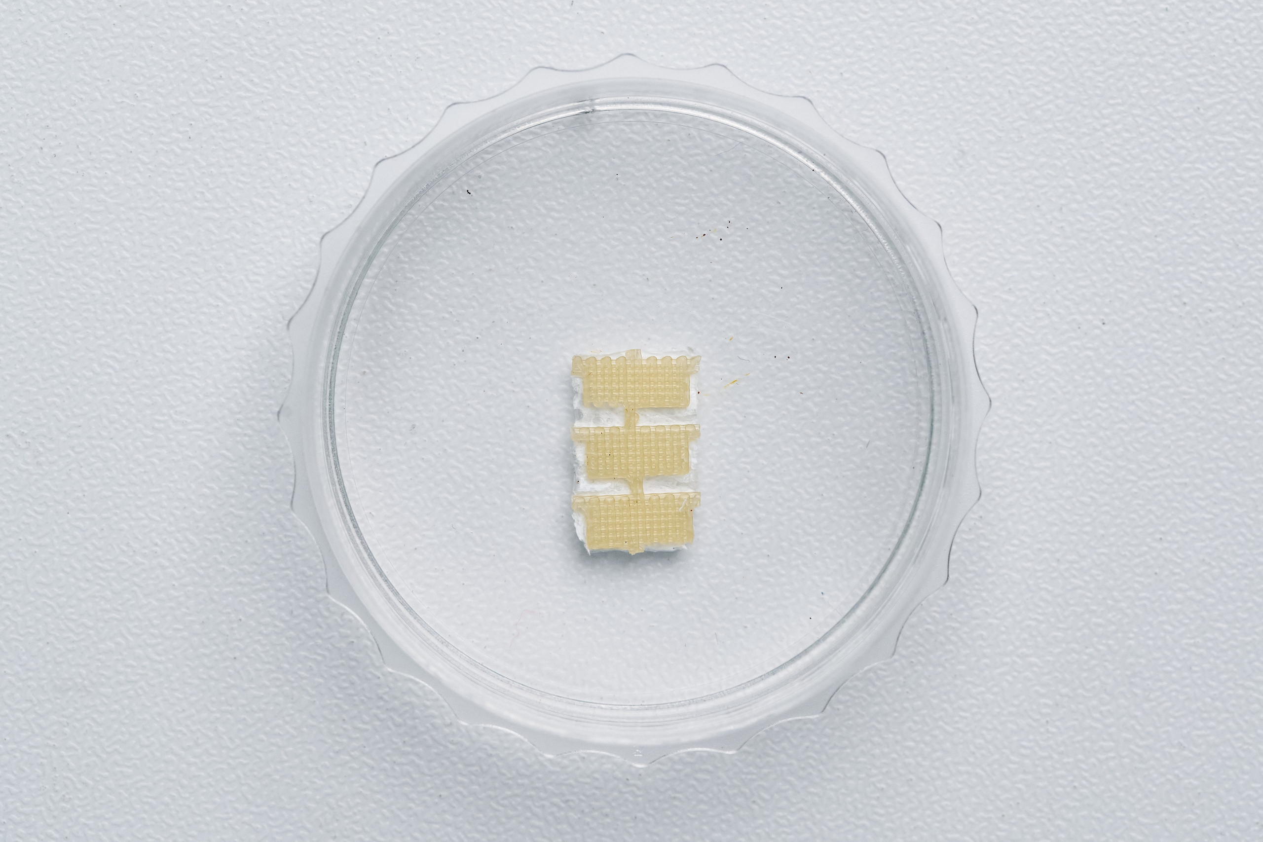 Предметная съемка. Репортажный фотограф в Москве Сергеев Илья