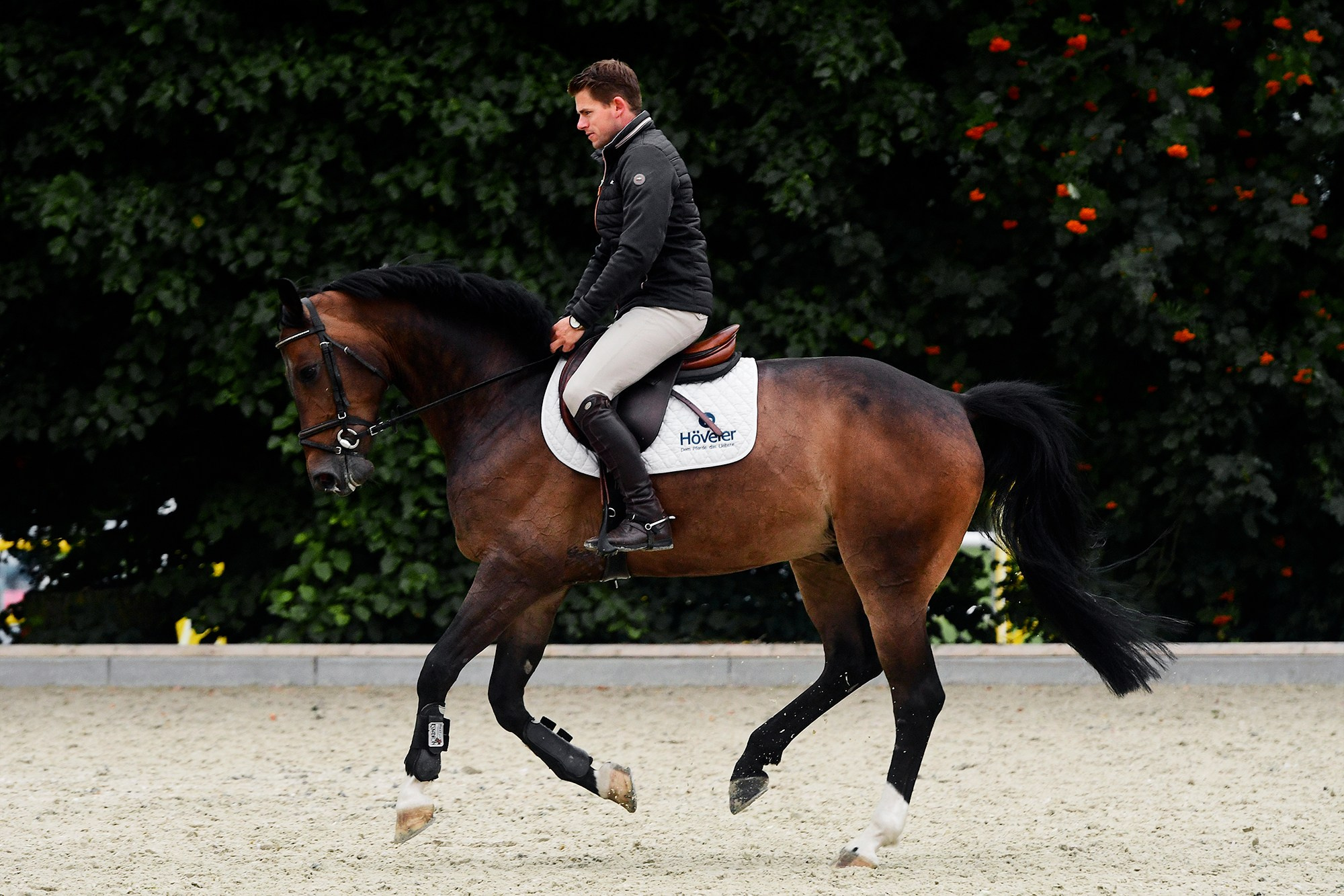 ЕС. Конный фотограф Alesya Safe