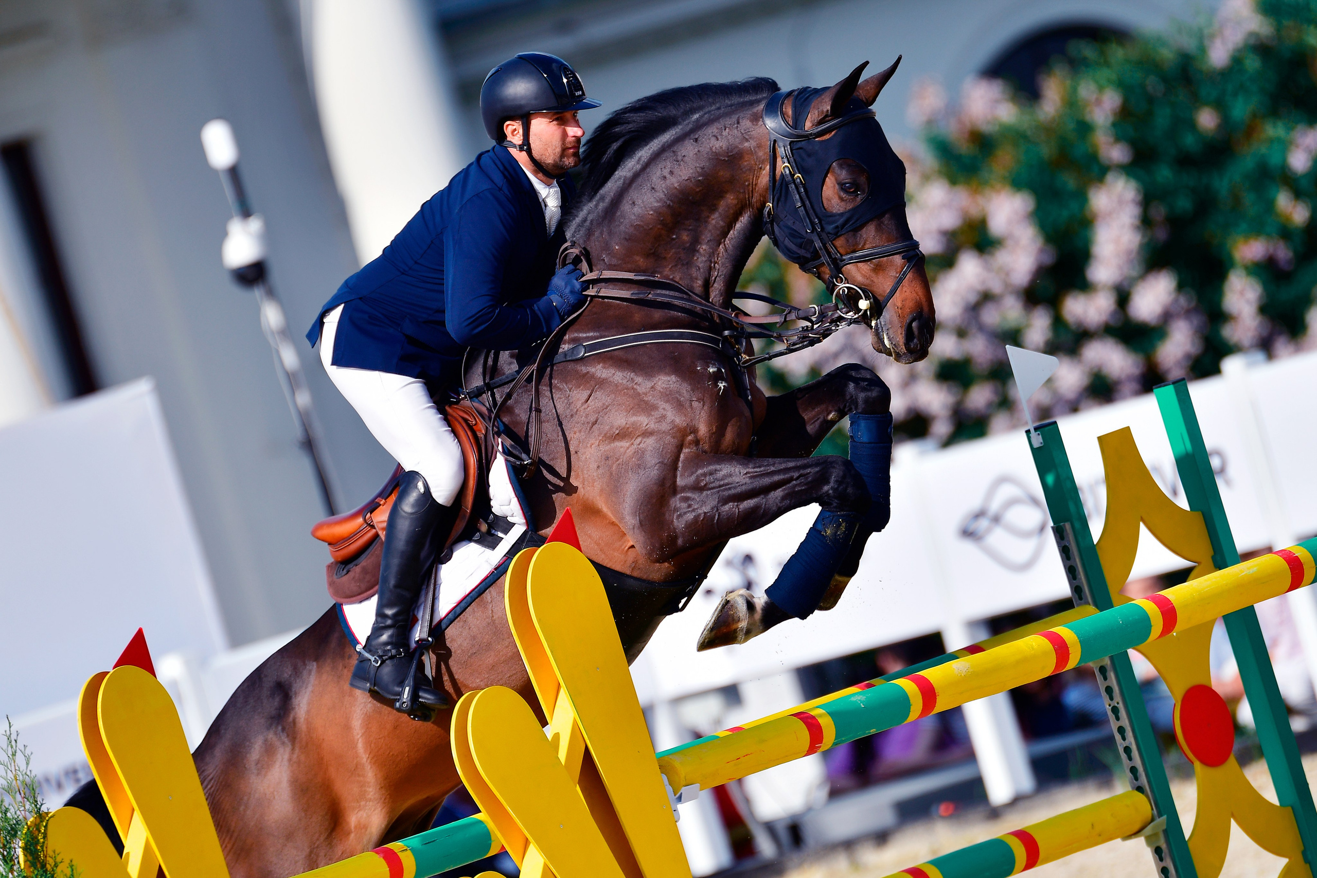 Репортаж Bitriver. Конный фотограф Alesya Safe