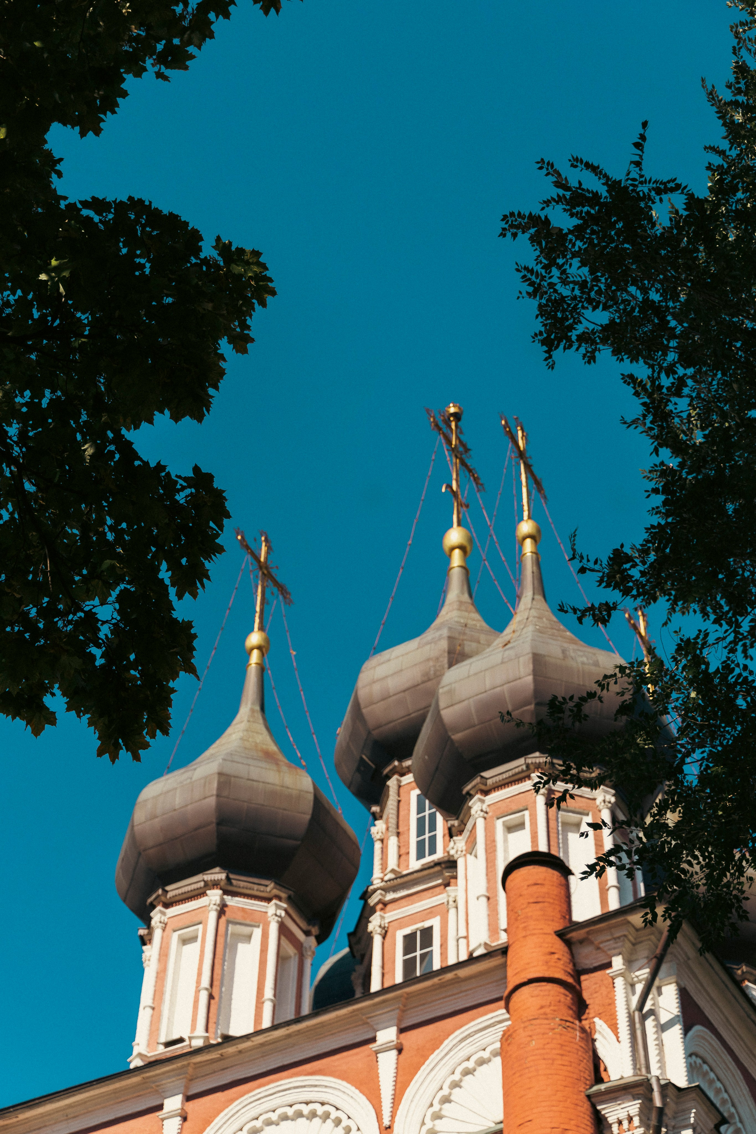 Нескучный сад