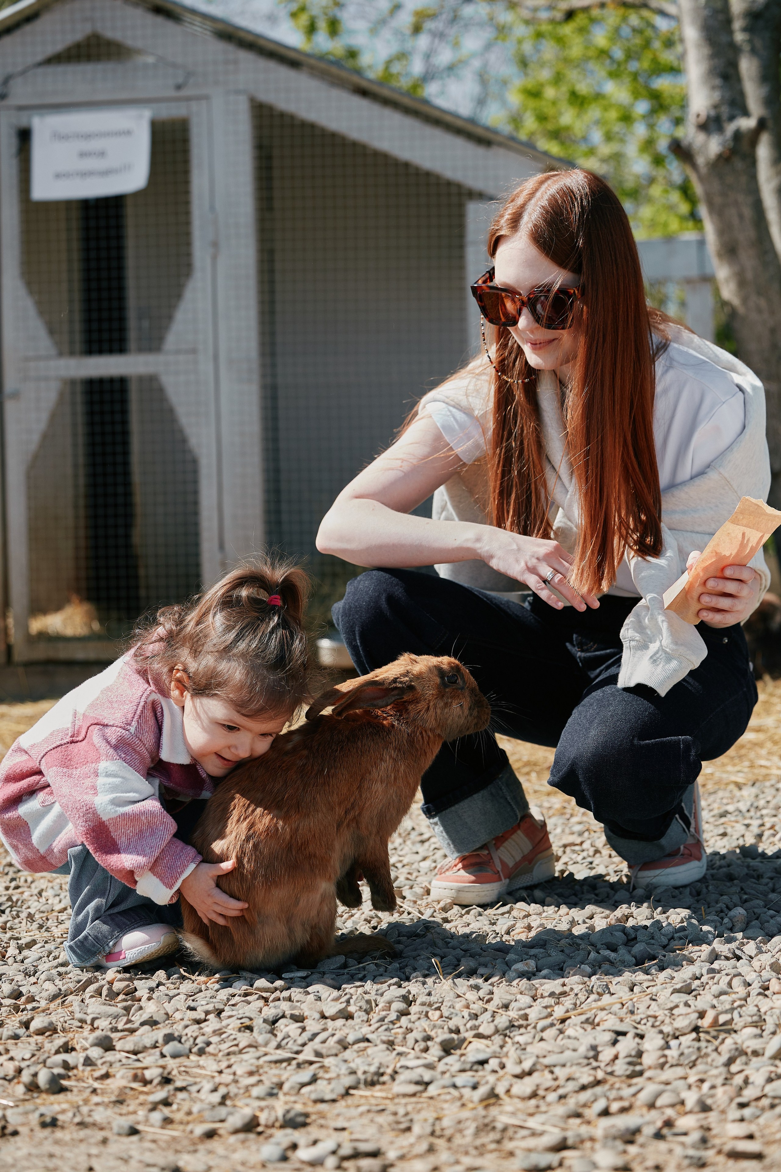 PRIVATE Weekend на Ферме Альпак 19.04. Свадебный репортажный фотограф краснодар максим дремов дрёмов фотосессия студия цена