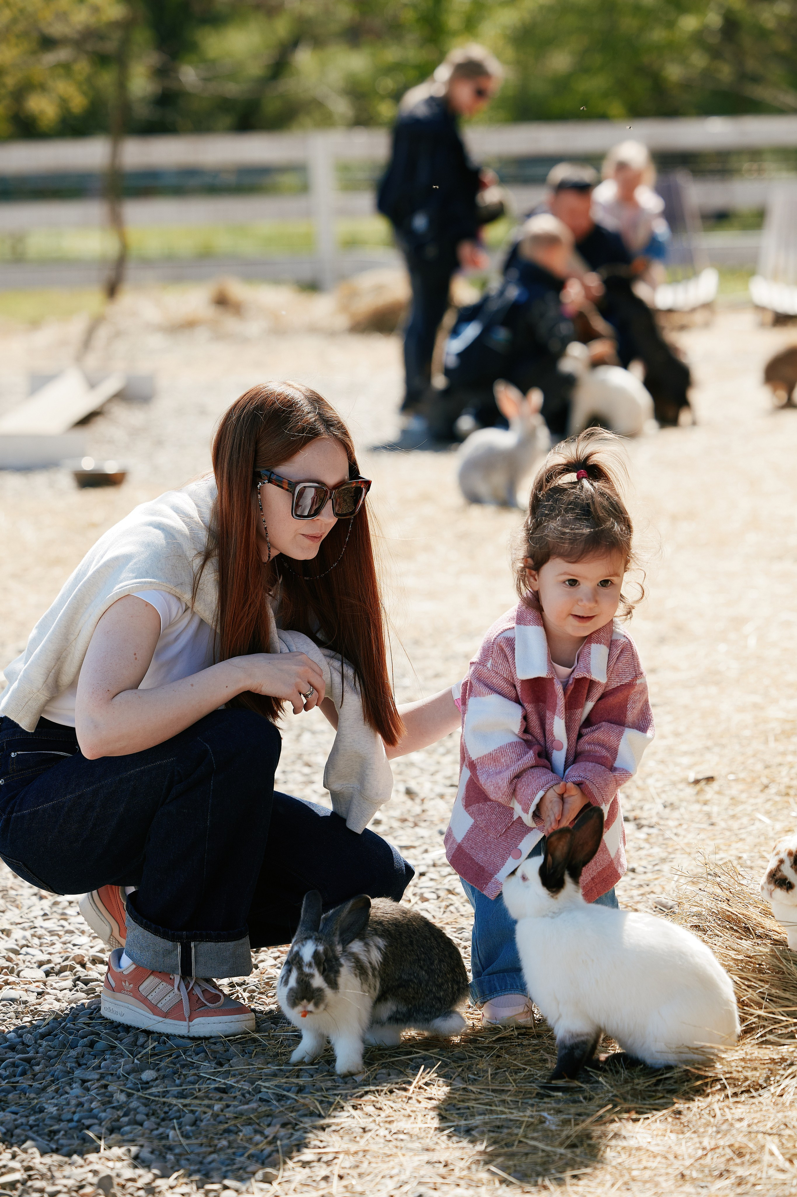 PRIVATE Weekend на Ферме Альпак 19.04. Свадебный репортажный фотограф краснодар максим дремов дрёмов фотосессия студия цена