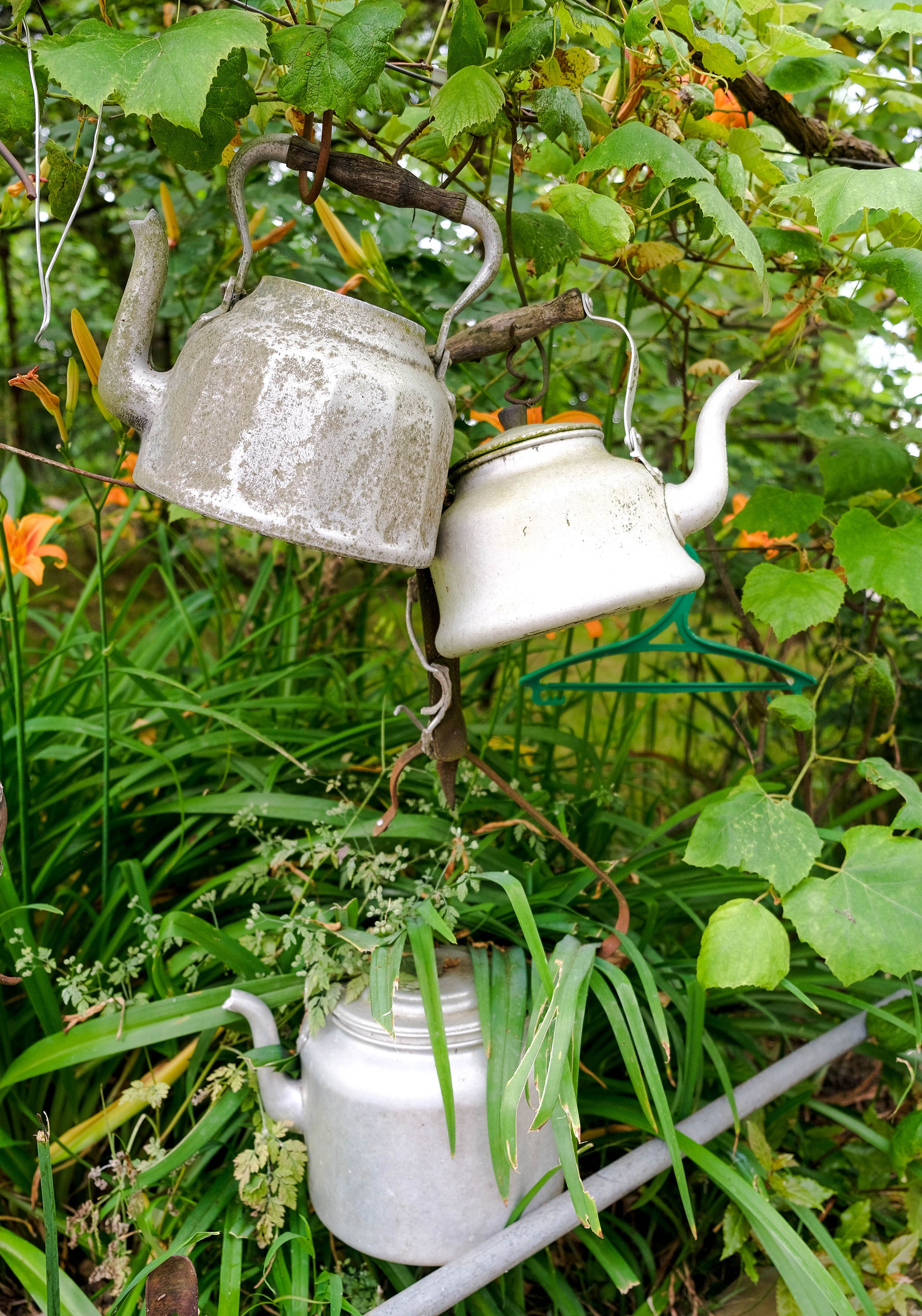 Репортажная съемка