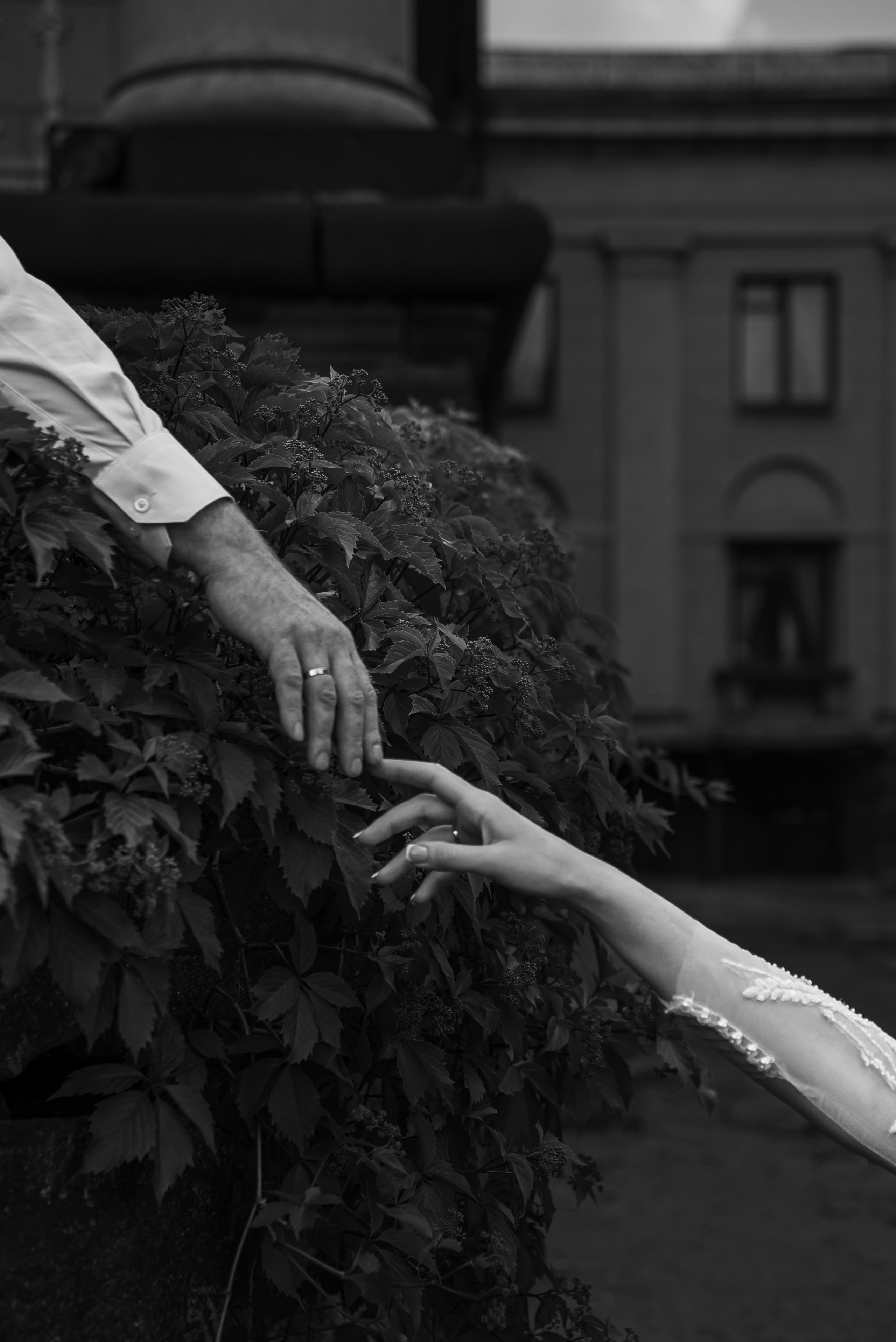 Евгений и Алена. Твой личный фотограф Гапотченко Ольга