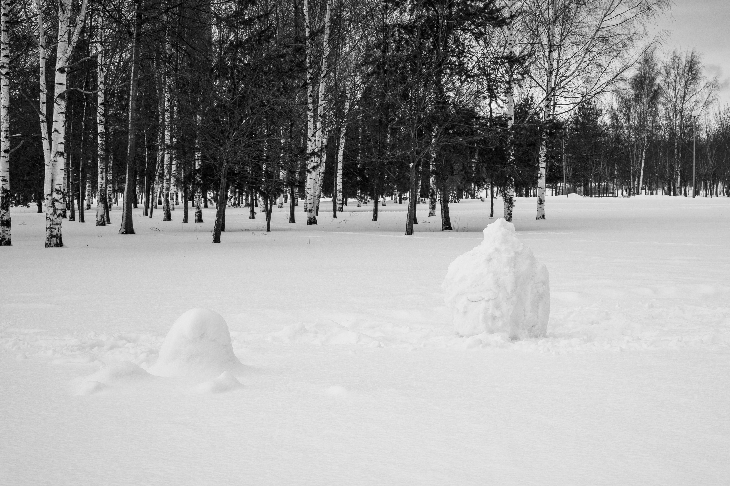 Кто сломал снеговика?. Наталья Орешина документальный и арт-фотограф из Санкт-Петербурга