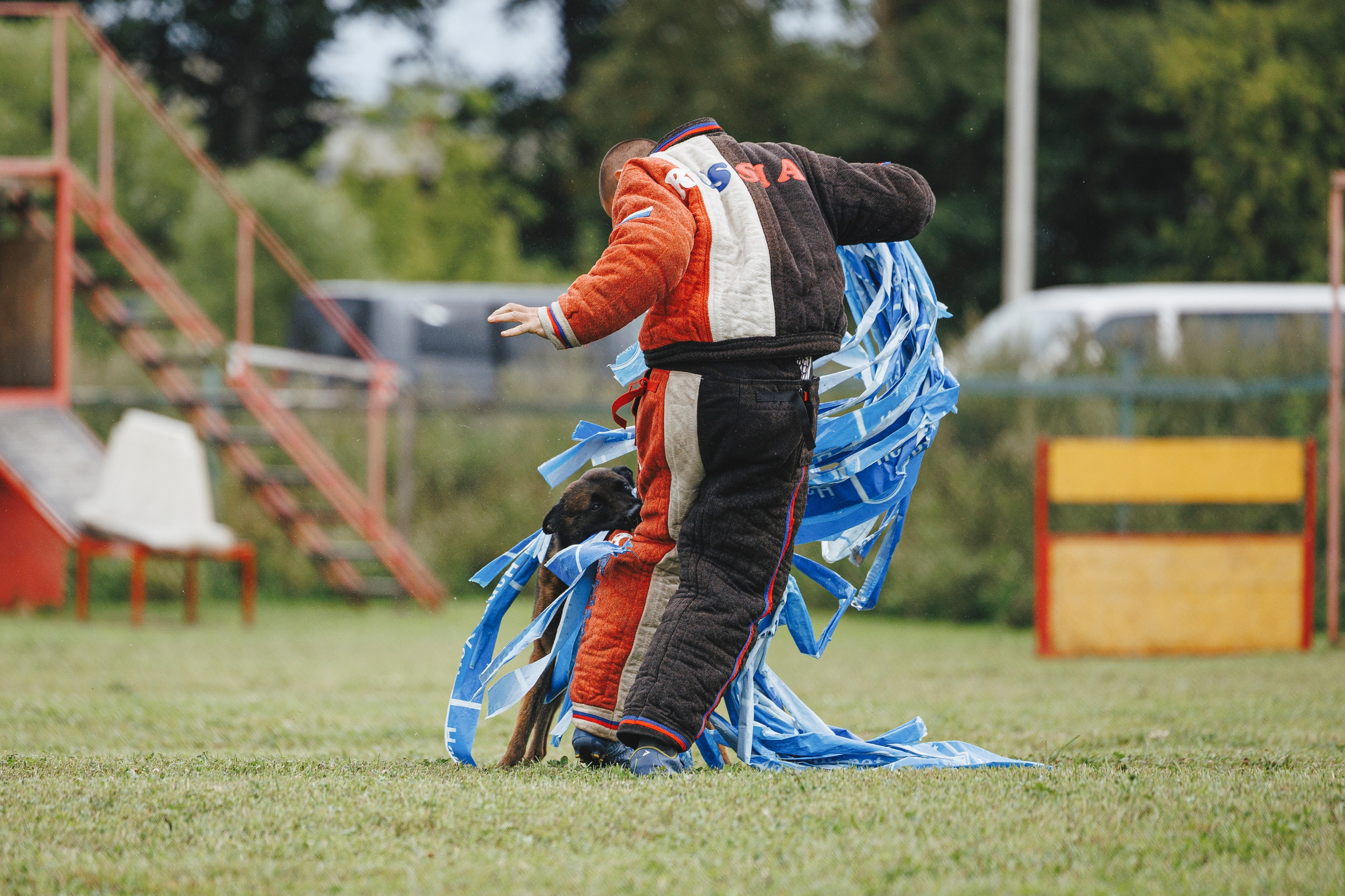 08.08.25-10.08.25 ЧР по мондьорингу г. Вологда. Фотограф-анималист Анна Маринич