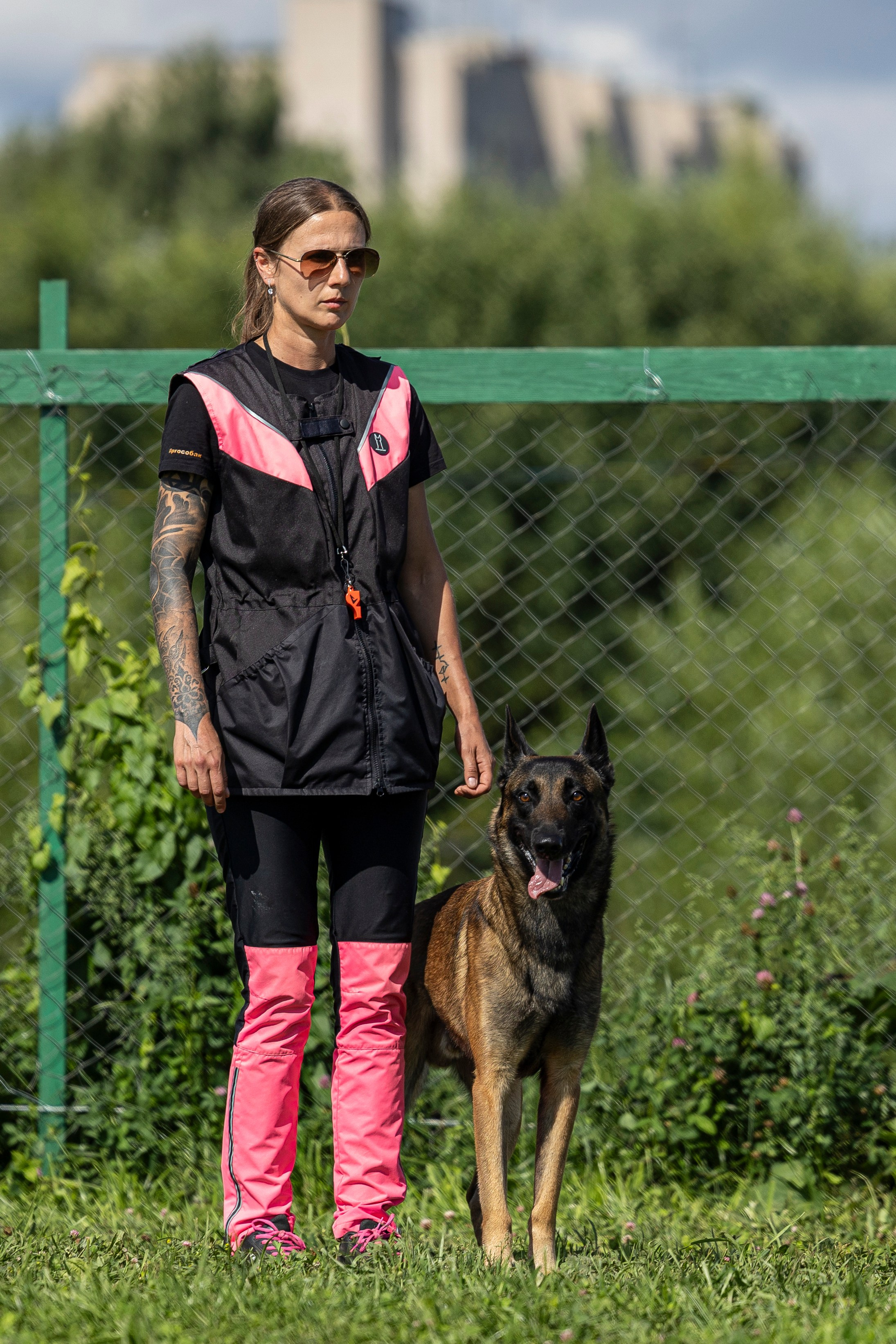 Соревнования по Мондьорингу г. Вологда 10-11.08.2024. Фотограф-анималист Анна Маринич