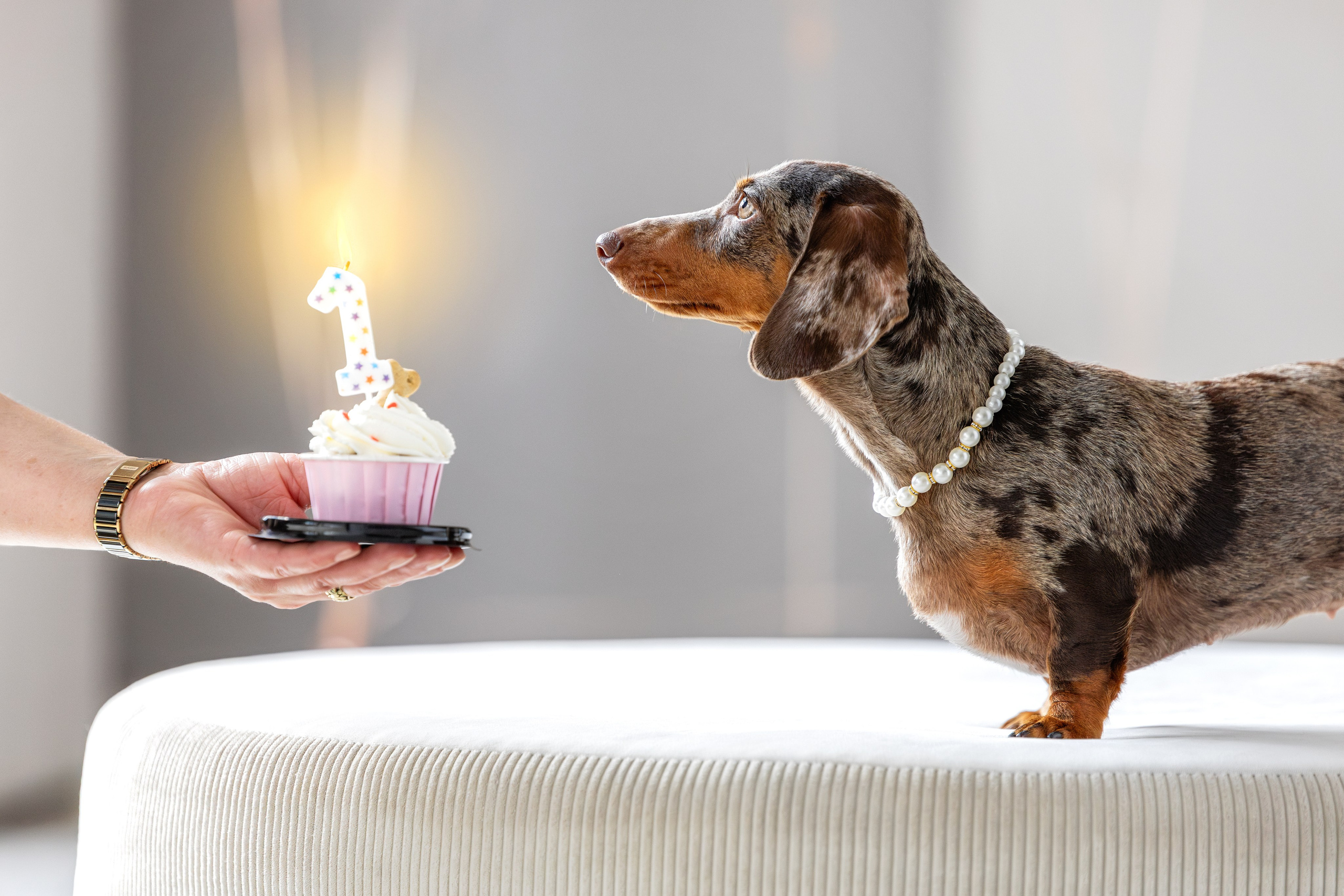 Фотограф-анималист Юлия Зубкова