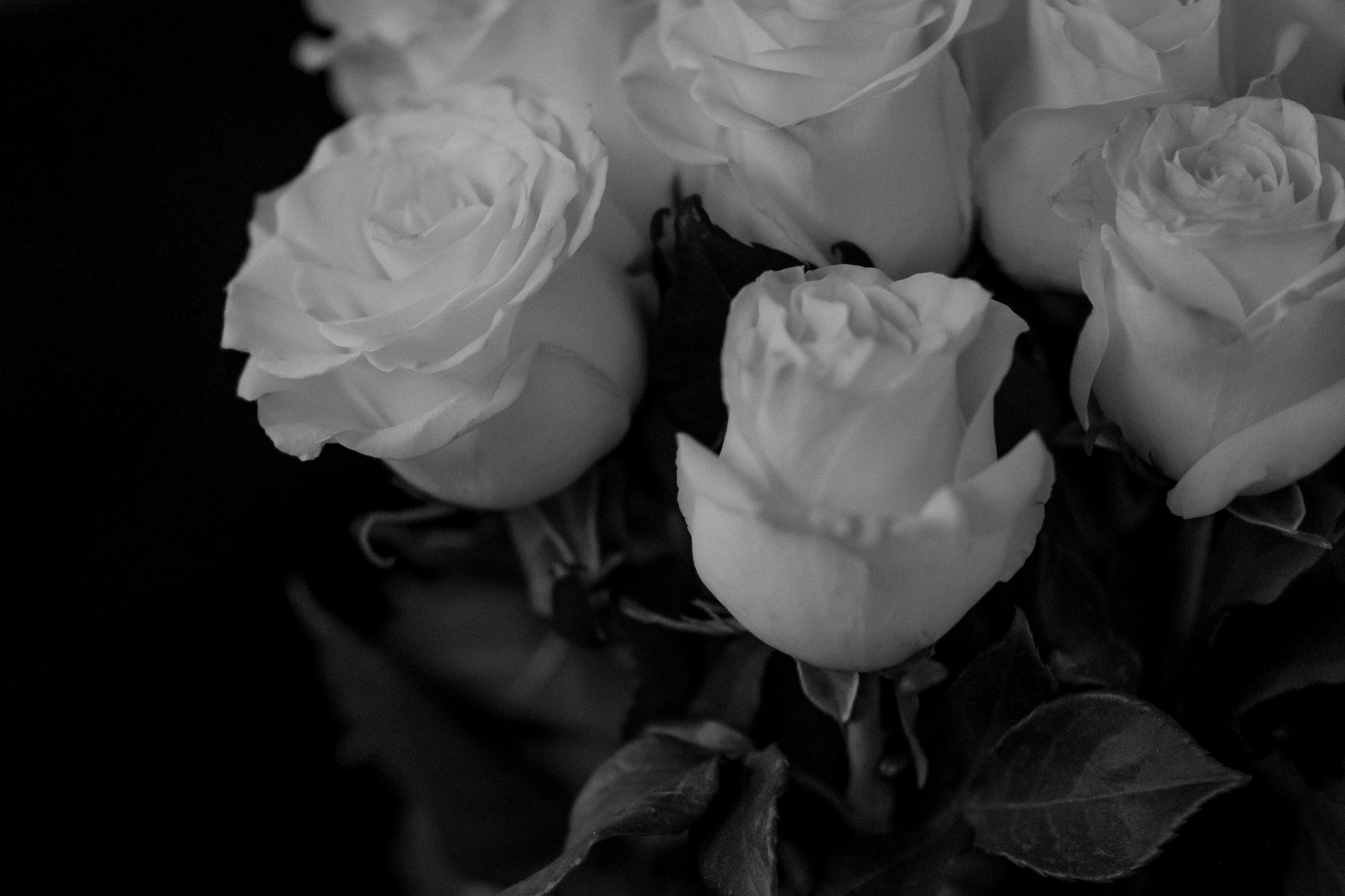 Костя и Айгиза — MORE AMORE. Свадебный фотограф Екатеринбург/Челябинск — Любовь Волохова