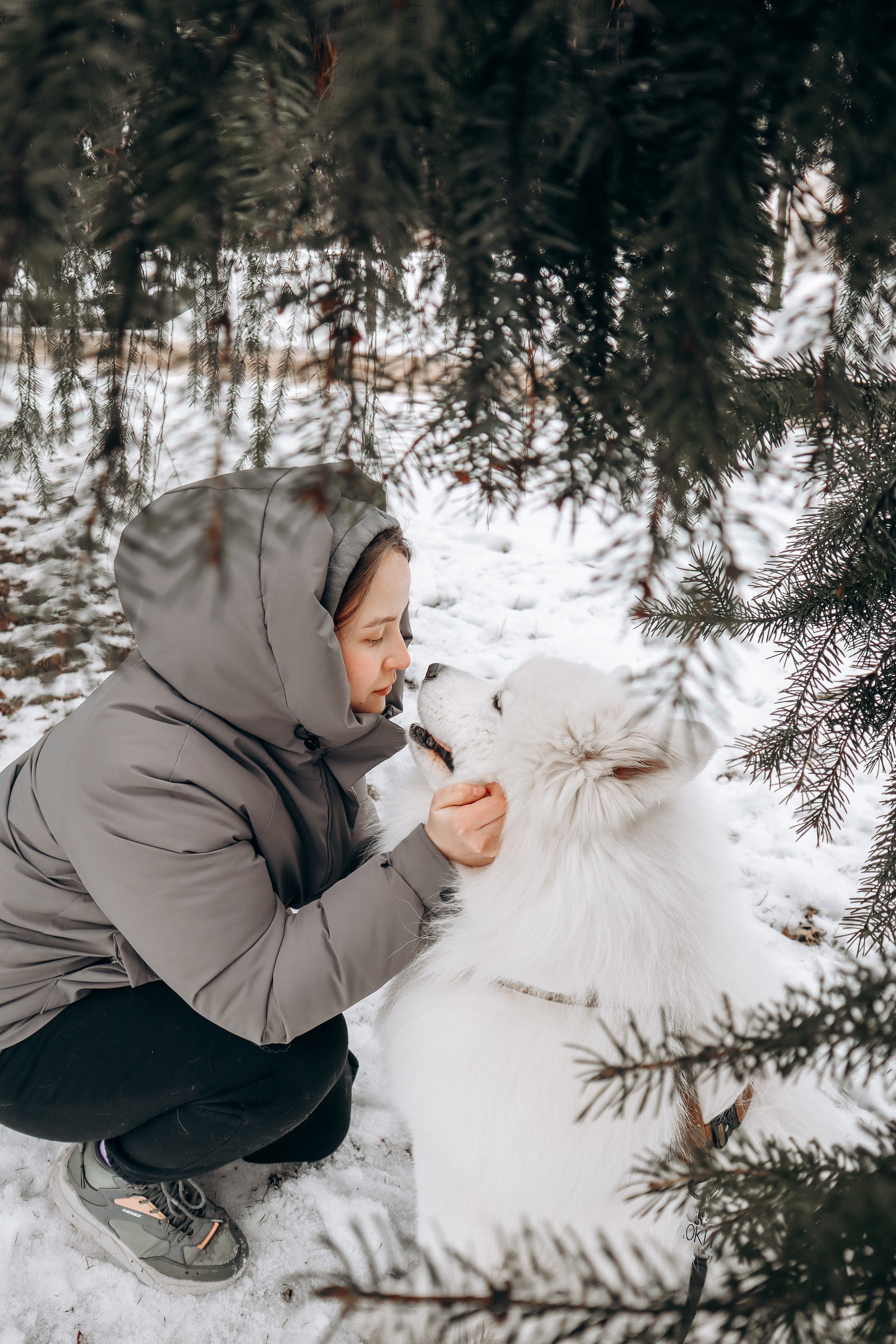 Даша и Локи. Фотограф-анималист в Санкт-Петербурге