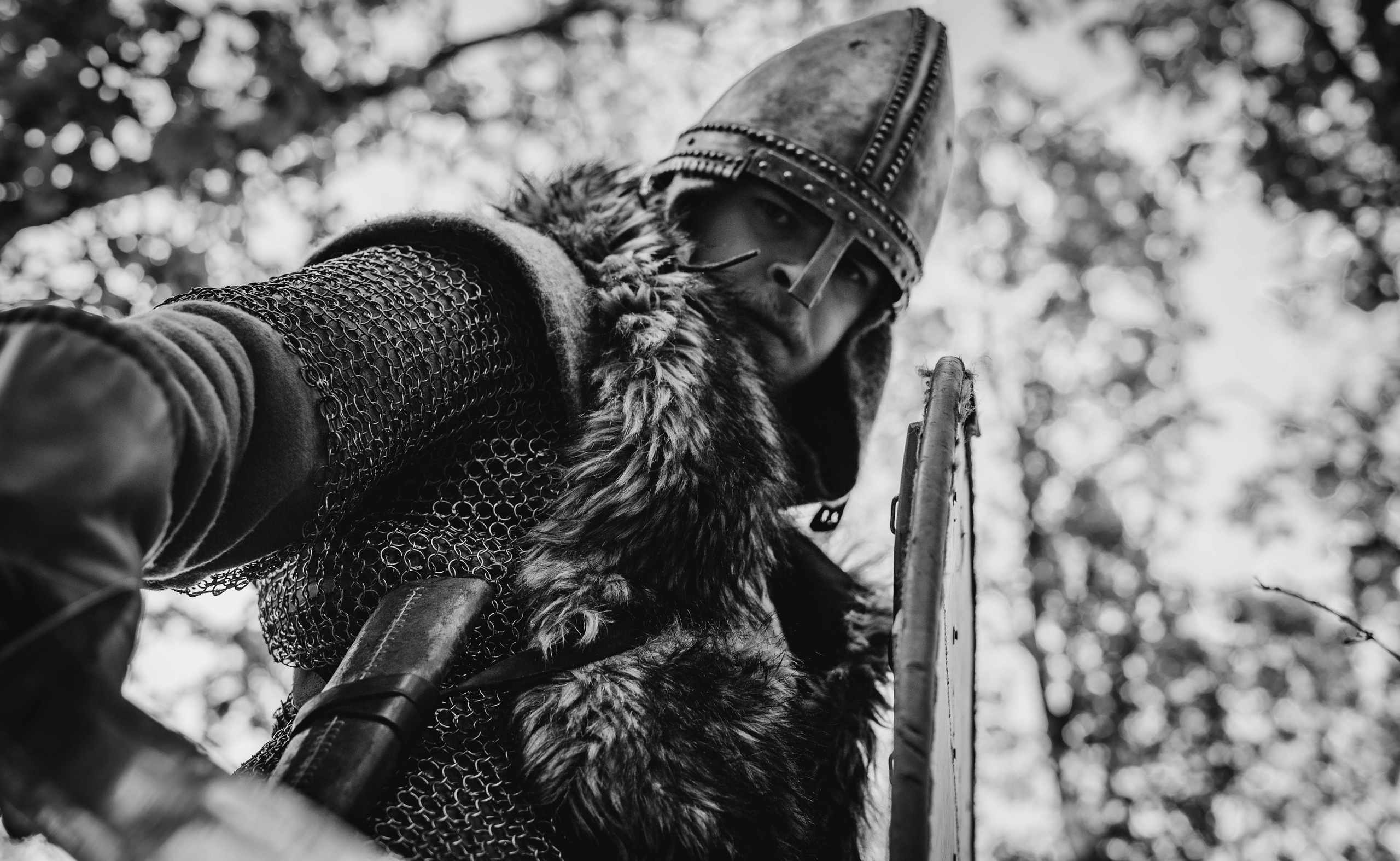 Викинг. Ab extra