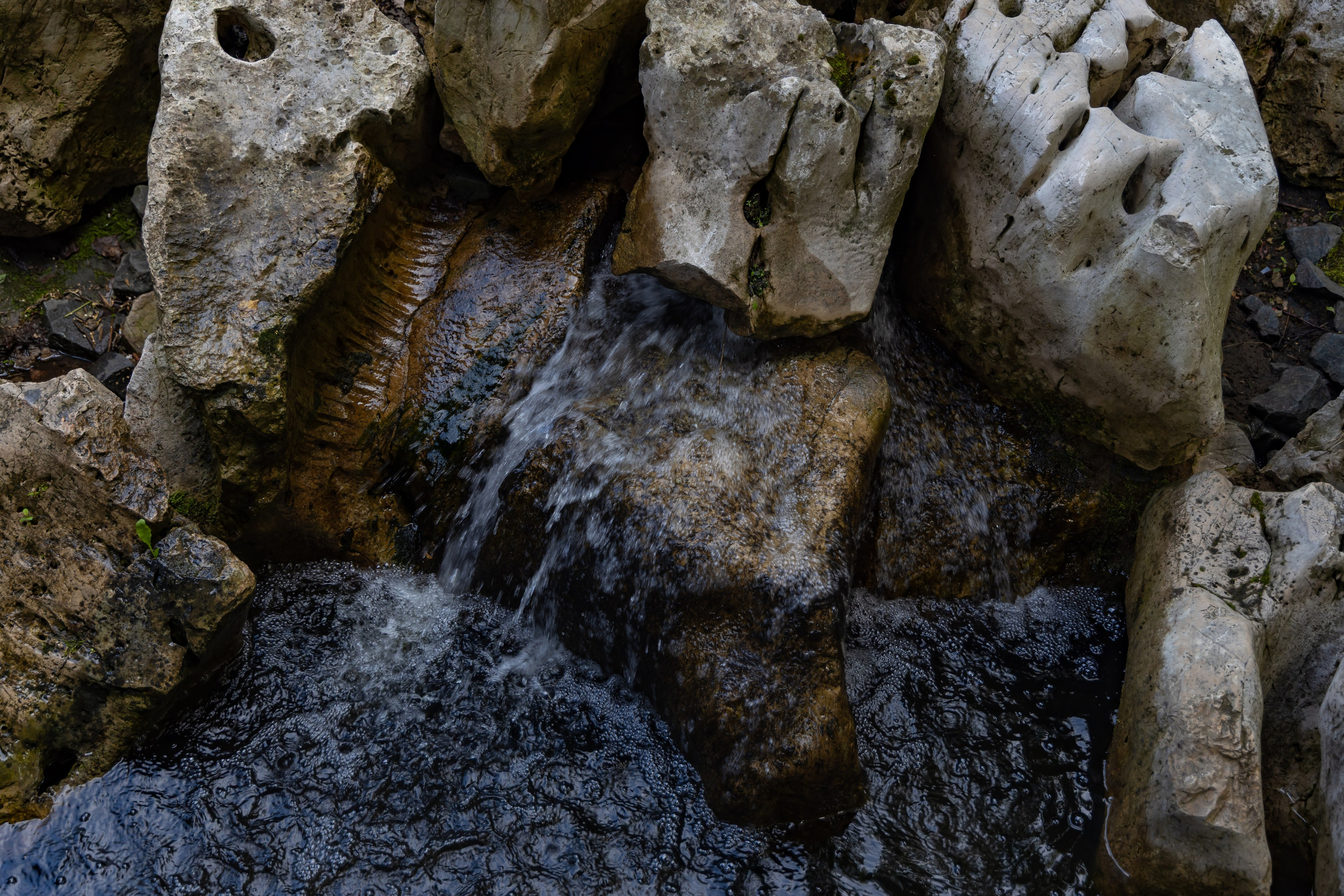 Парк хуамин в Москве. Репортажный, семейный и студийный фотограф в Москве Демин Алексей