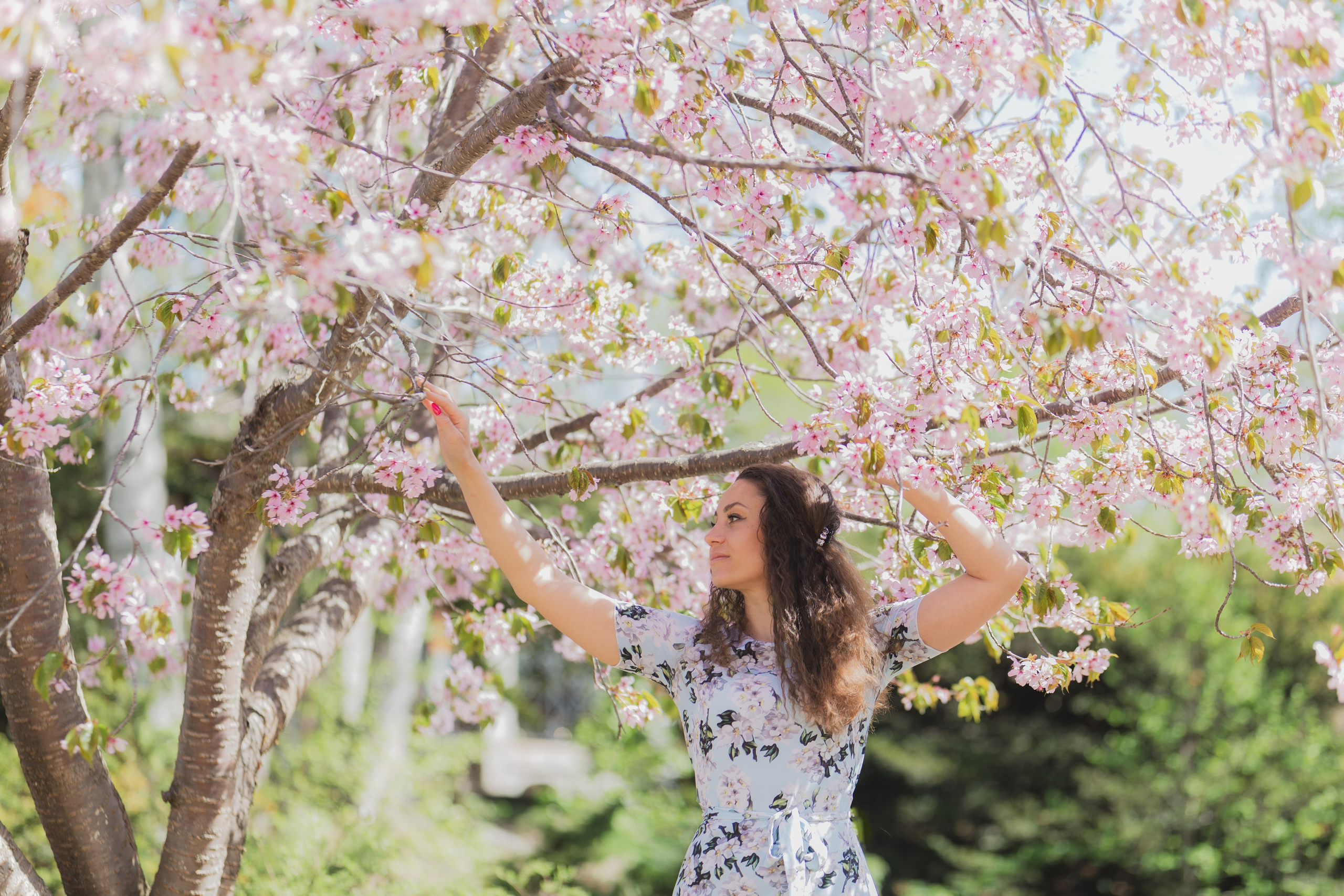 Настя и сакура. Фотограф Южно-Сахалинск