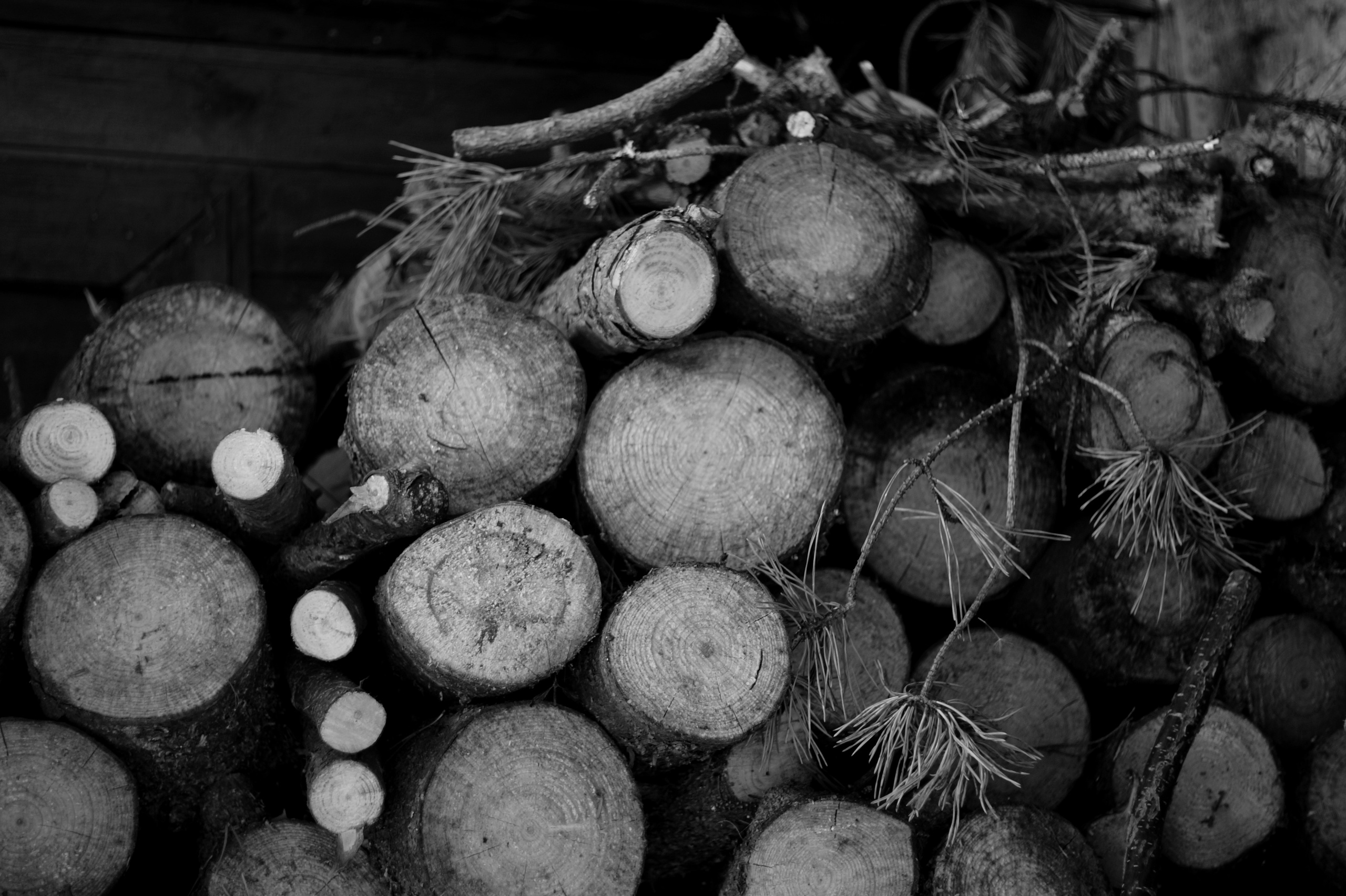 ЧБ. Фотограф Соня с Земли