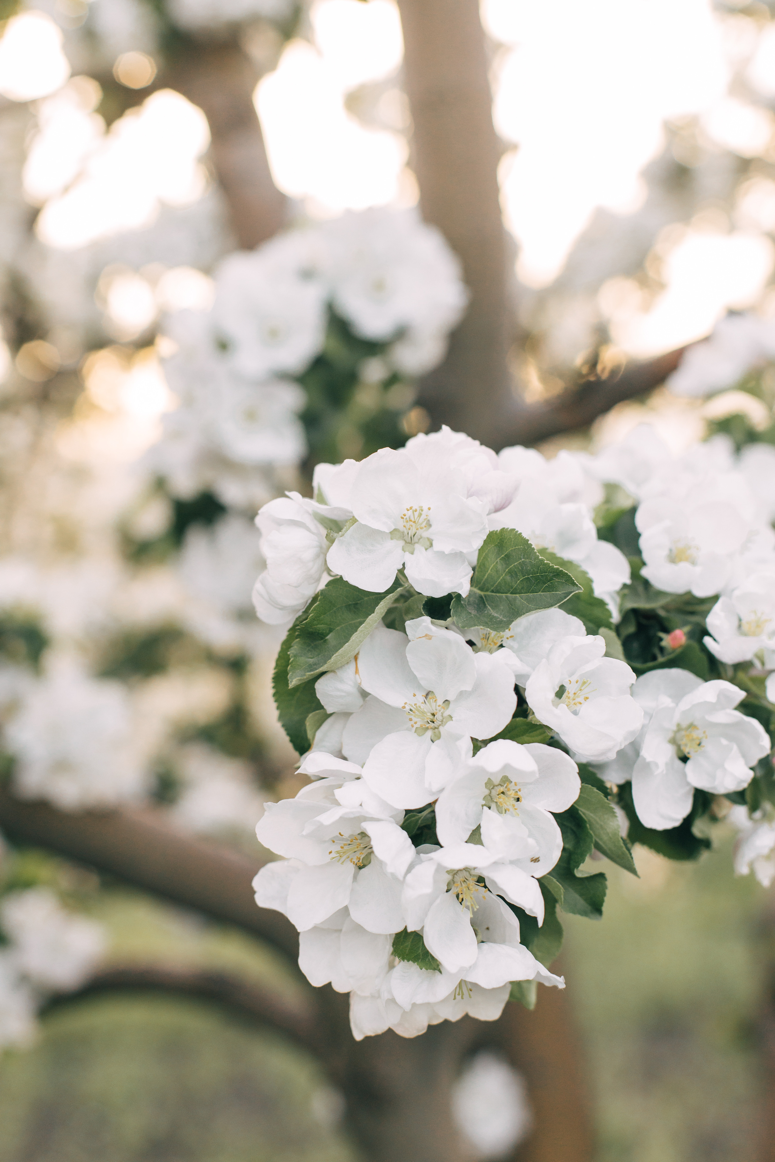 Марина и Гена. Фотограф Таганрог Любимая Надя