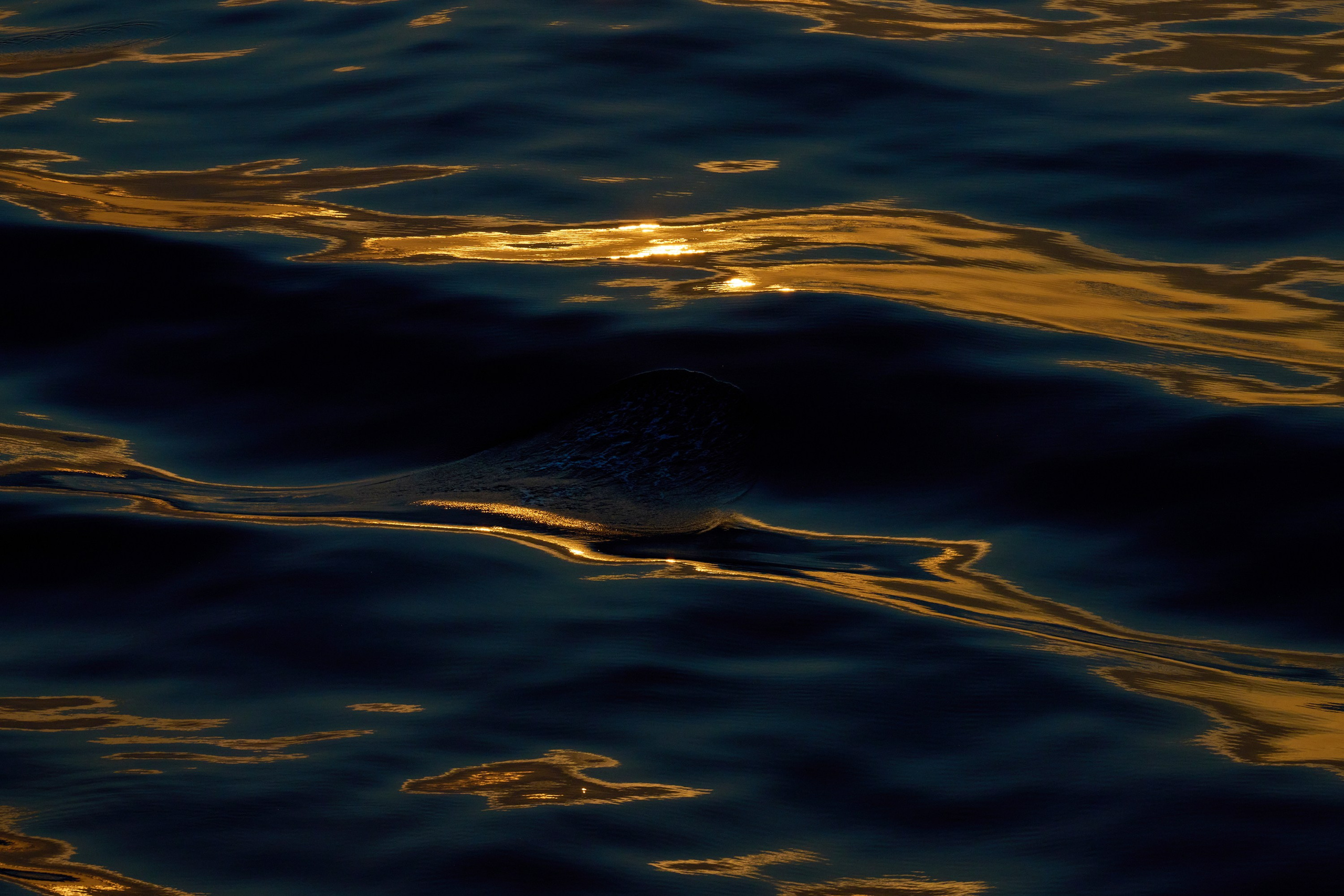 Вода, брызги, волны, море, океан. Water, waves, sea, ocean. Яркие фото на Чёрном море