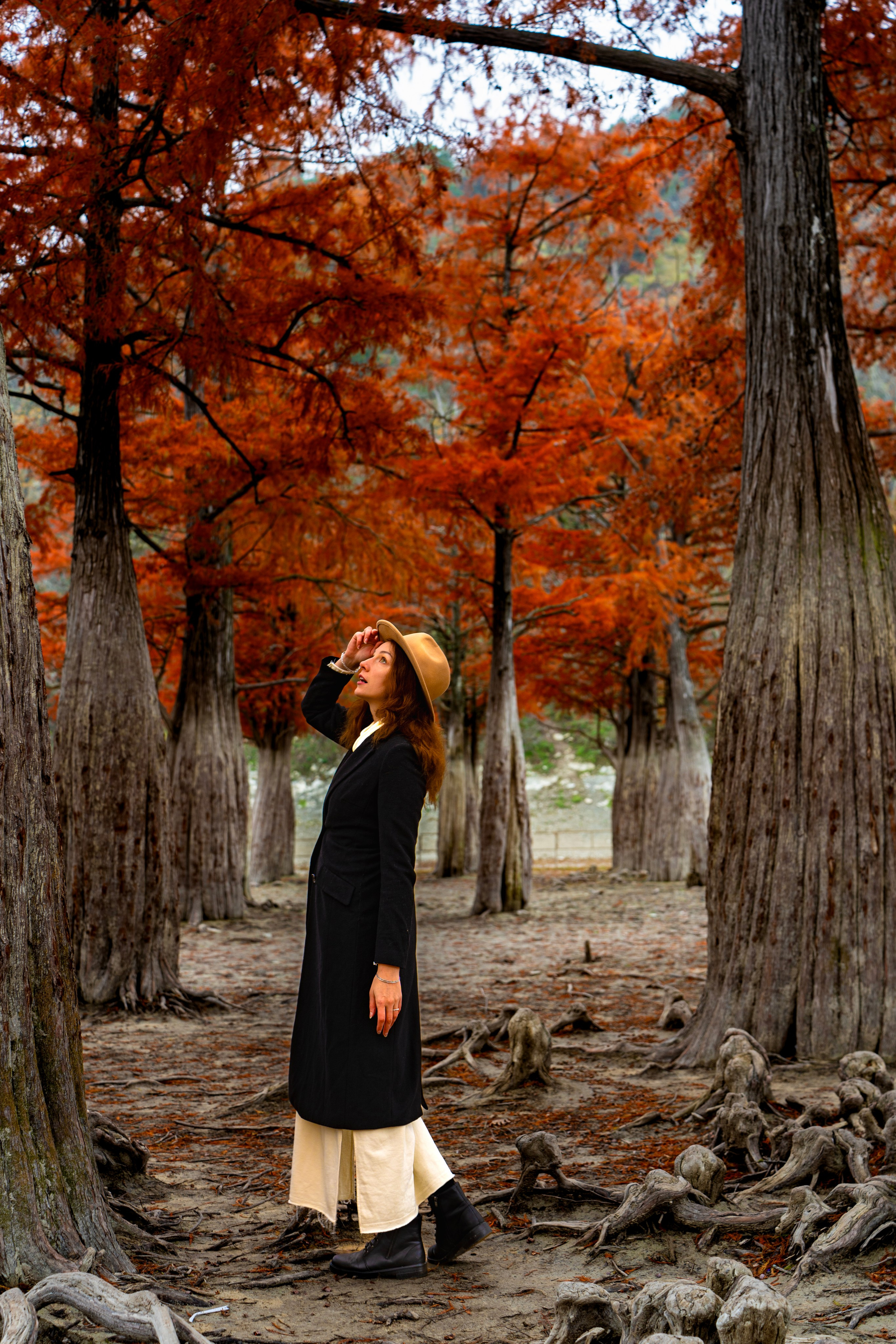 Осенняя фотосессия в Анапе — яркие кипарисы. Семейный и детский фотограф Екатерина Черняева. Снимаю портреты, love story, фотопрогулки, работаю на улице, в кафе, студии, дома у клиента