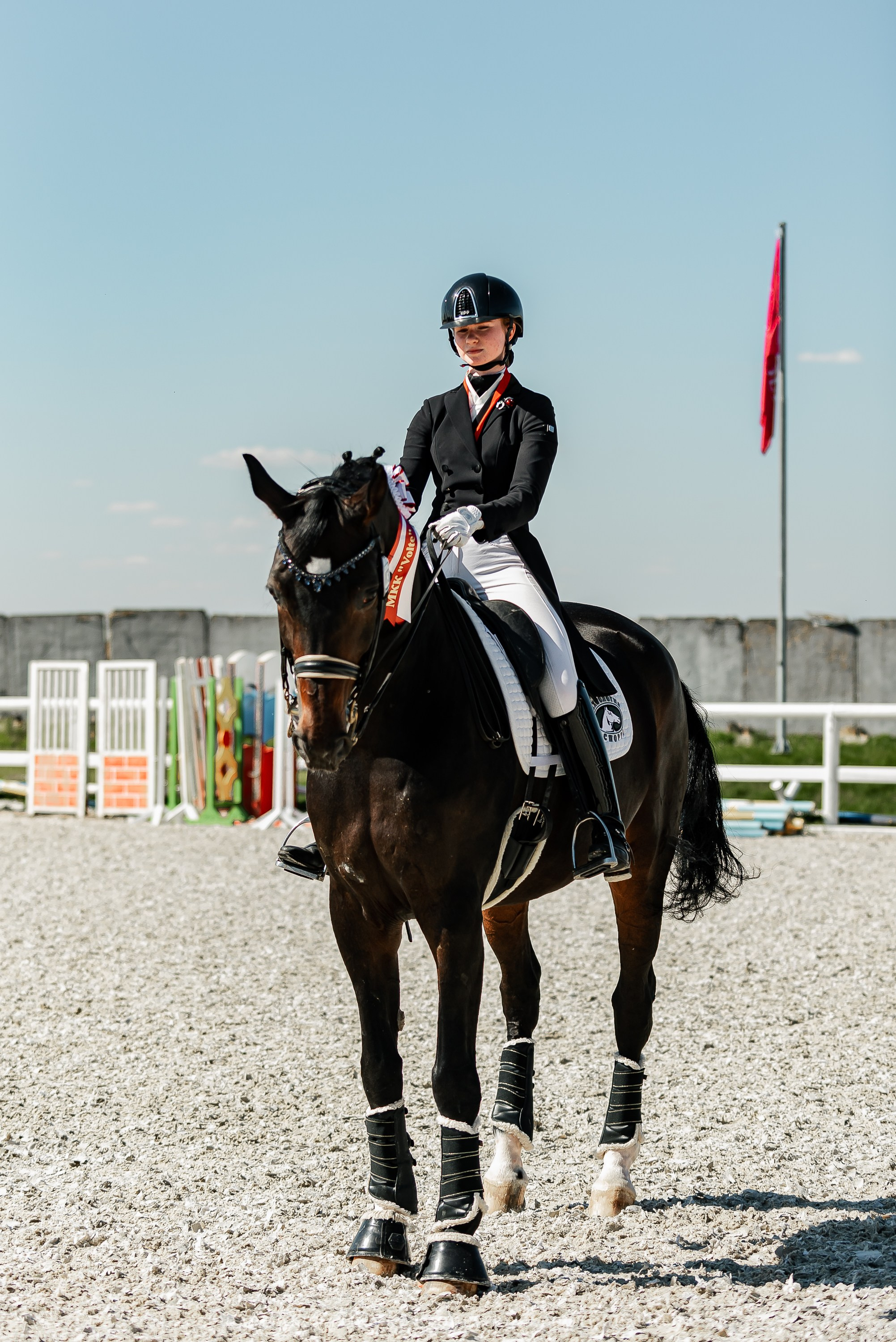 РЕПОРТАЖ МКК ВОЛЬТ «LA TULIPS». Конный фотограф Куракина Дарья • Фотосессии с лошадьми