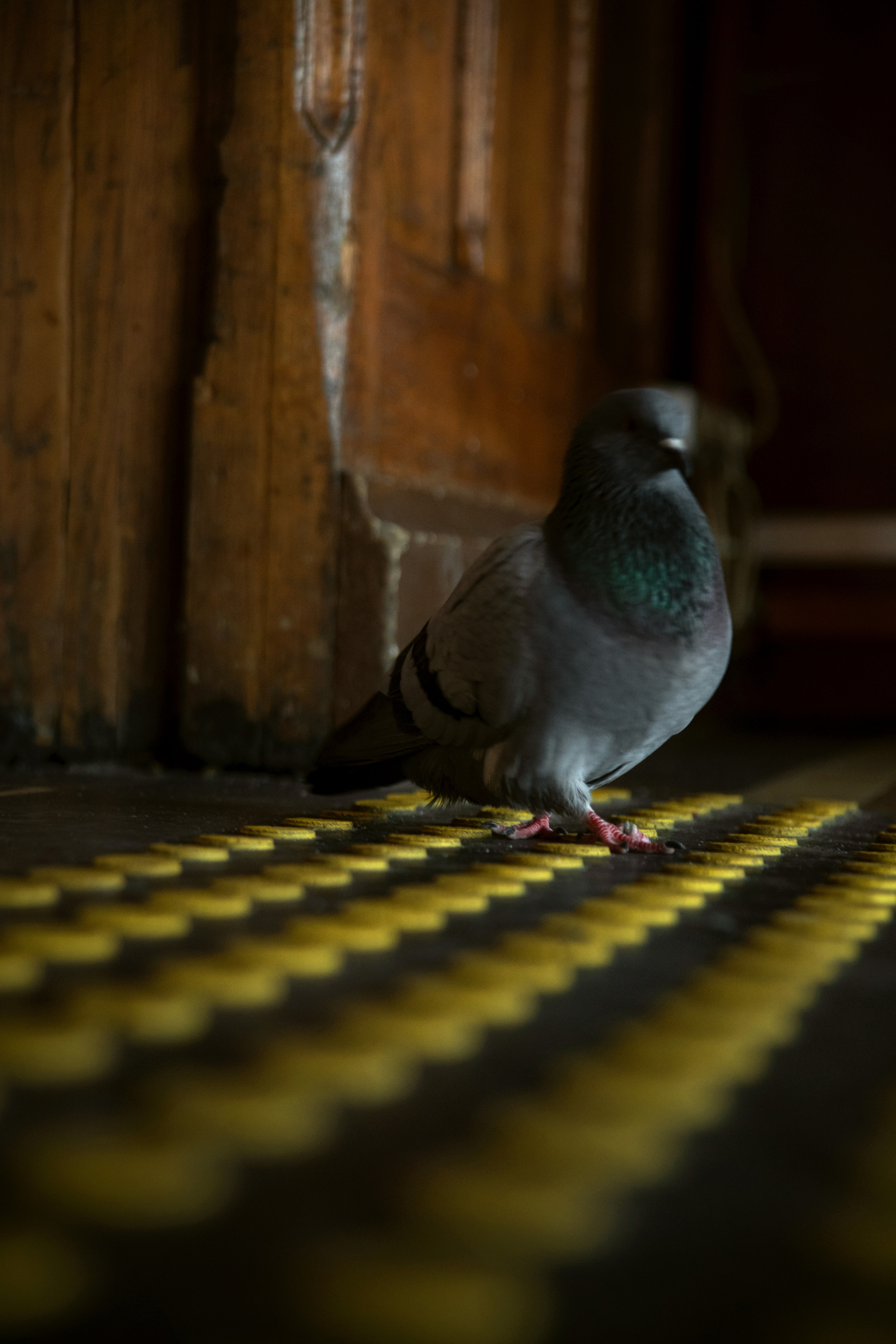 Вокзал для двоих. Фотограф в Санкт-Петербурге Павел Жуков