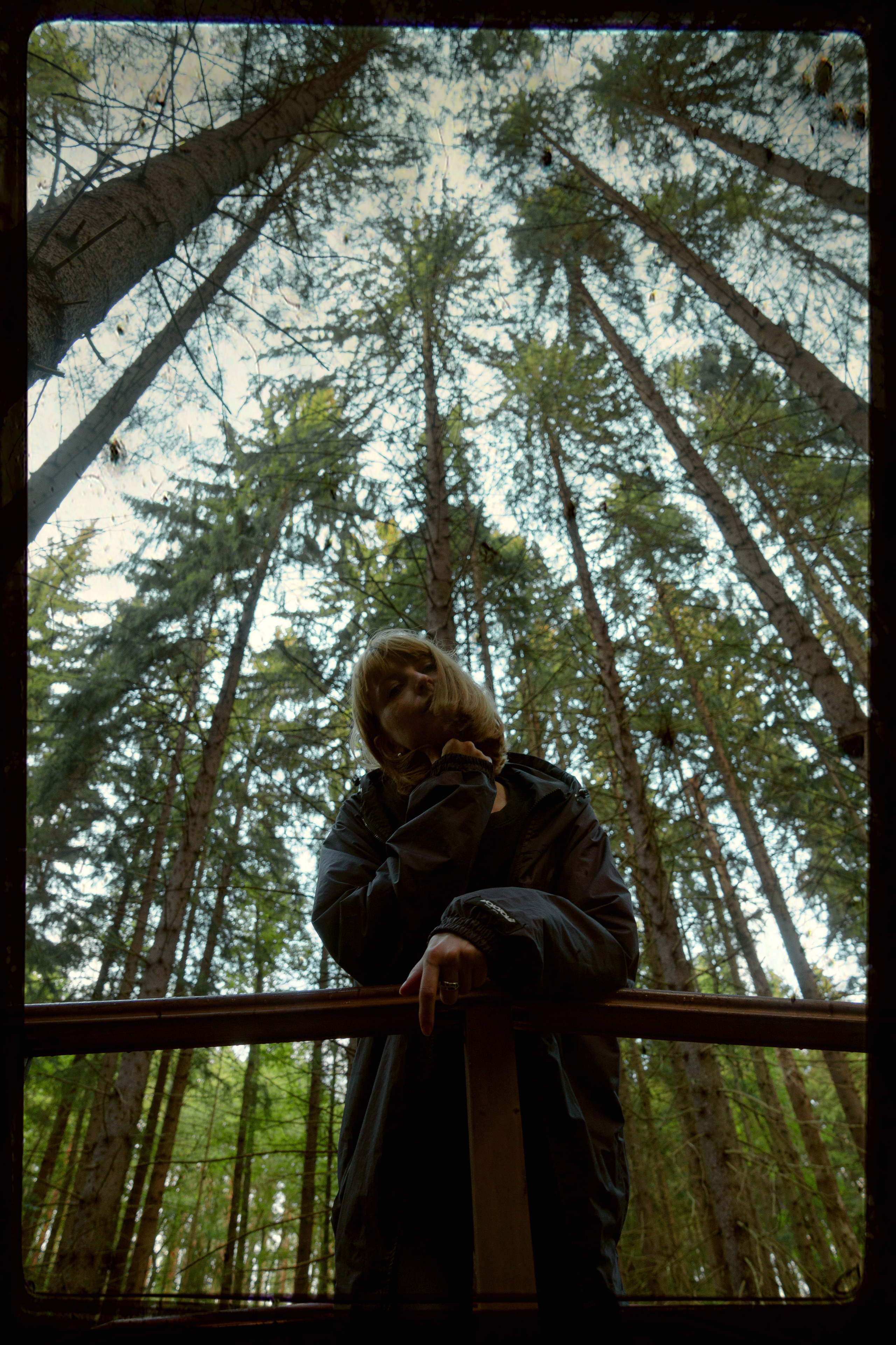 Комарово. Фотограф в Санкт-Петербурге Павел Жуков