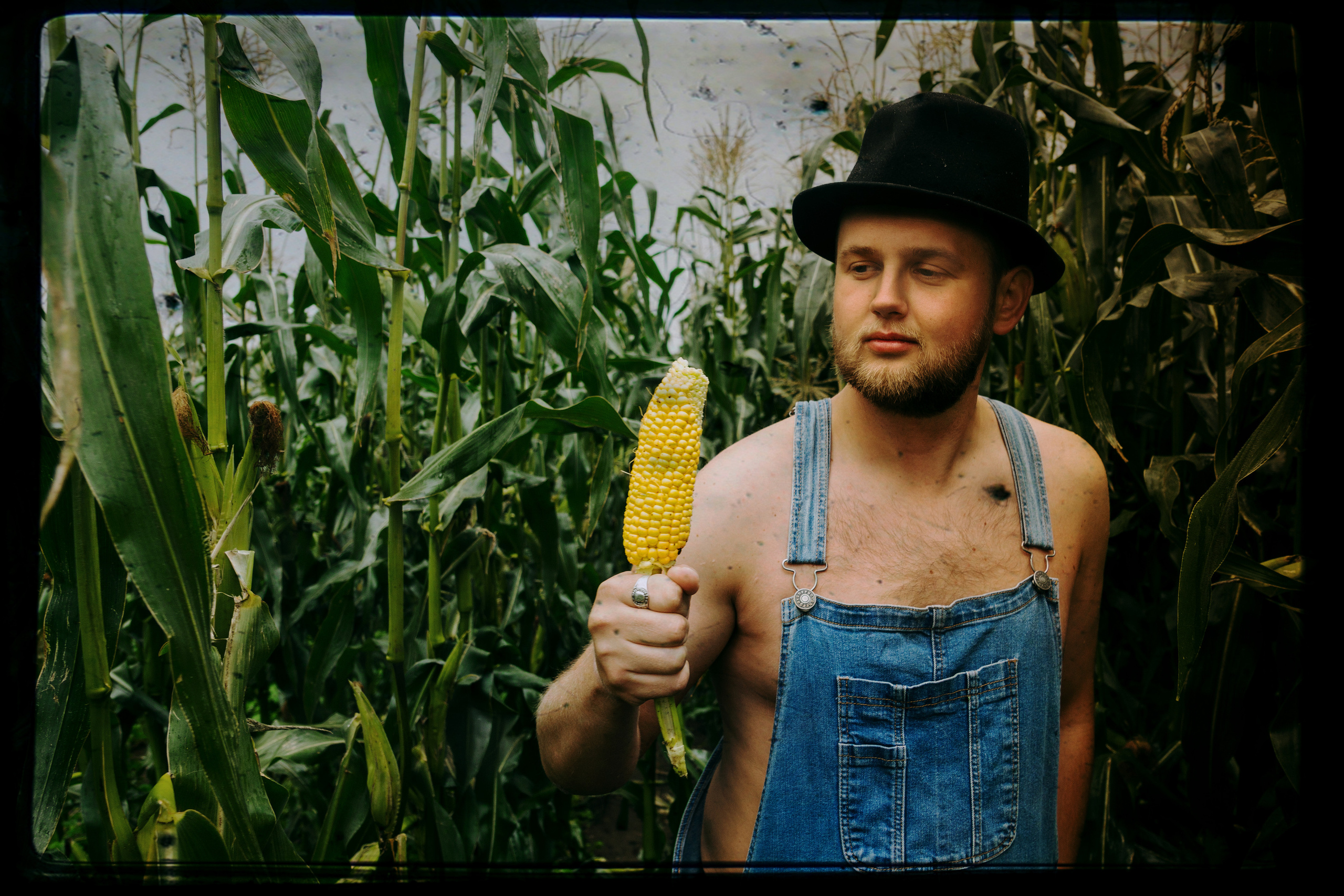 Кукуруза. Фотограф в Санкт-Петербурге Павел Жуков